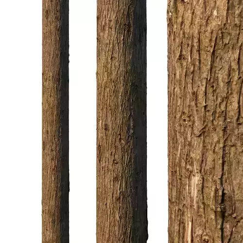 4k Cypress bark material 01 Texture