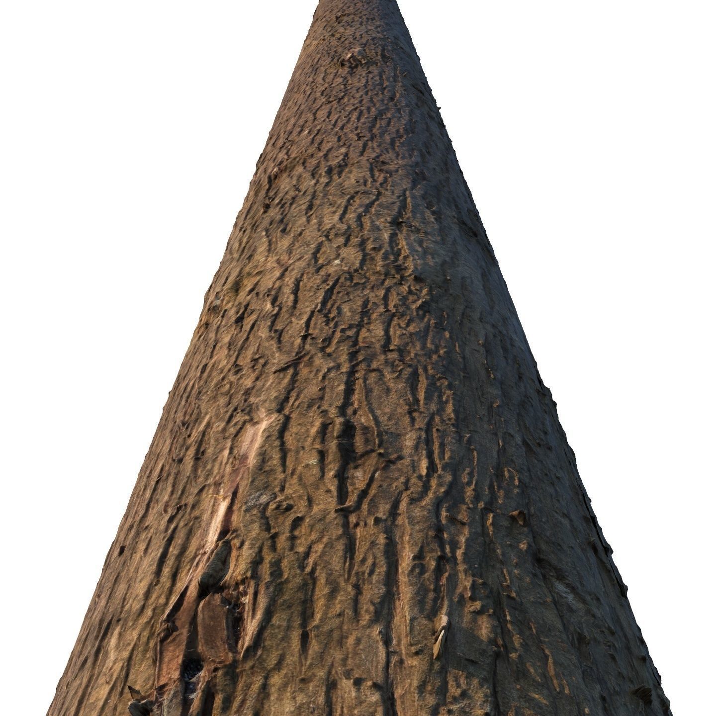 4k Cypress bark material 01 Texture_4