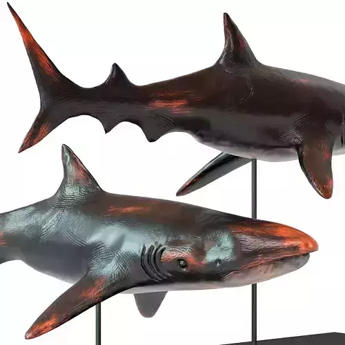 Deco Figurine Shark Base