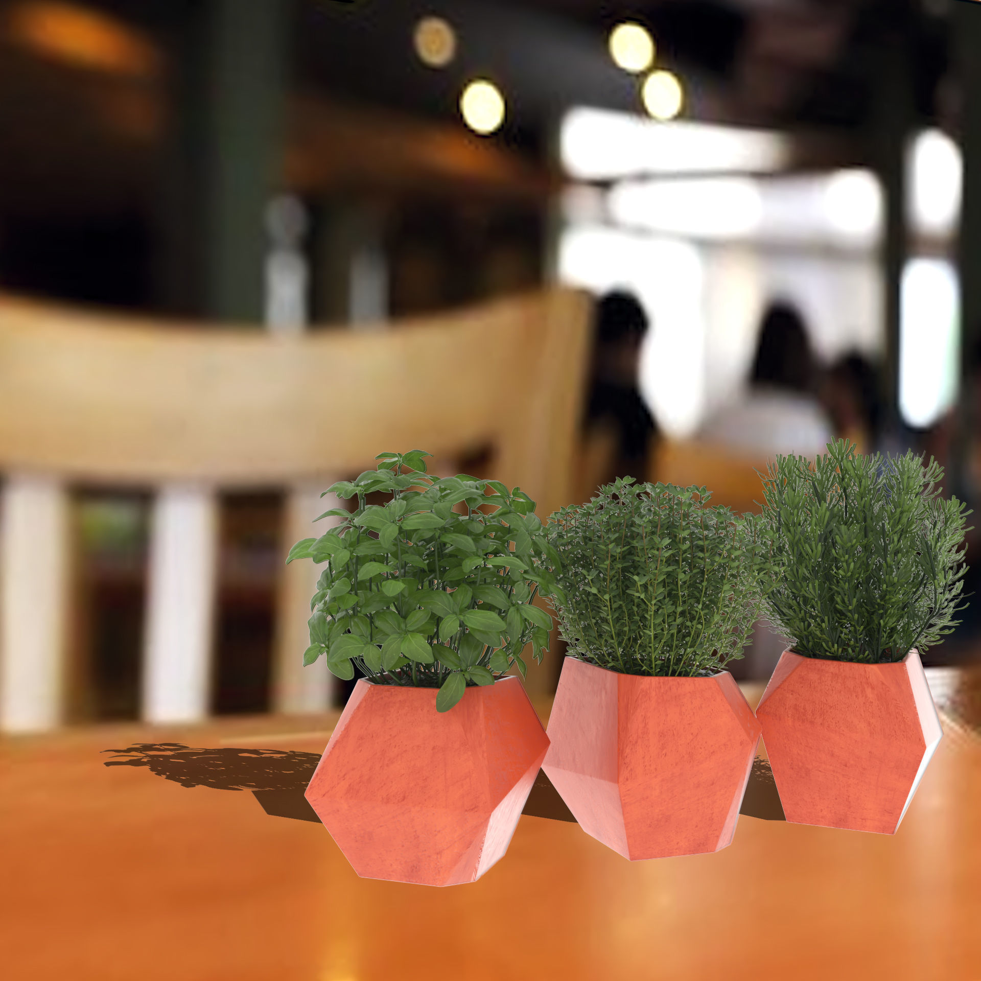 Decor Plants 3D model 3D model_1