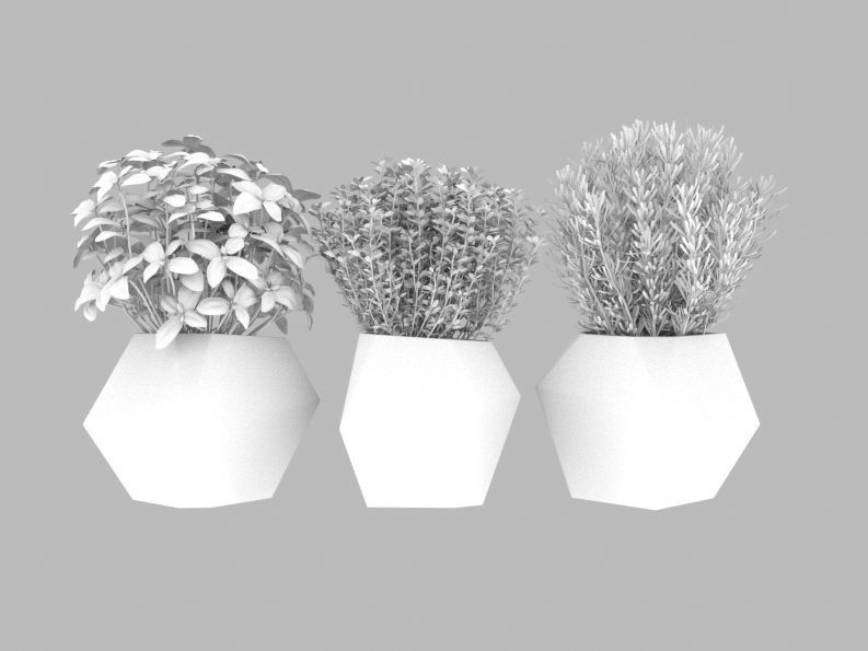 Decor Plants 3D model 3D model_2