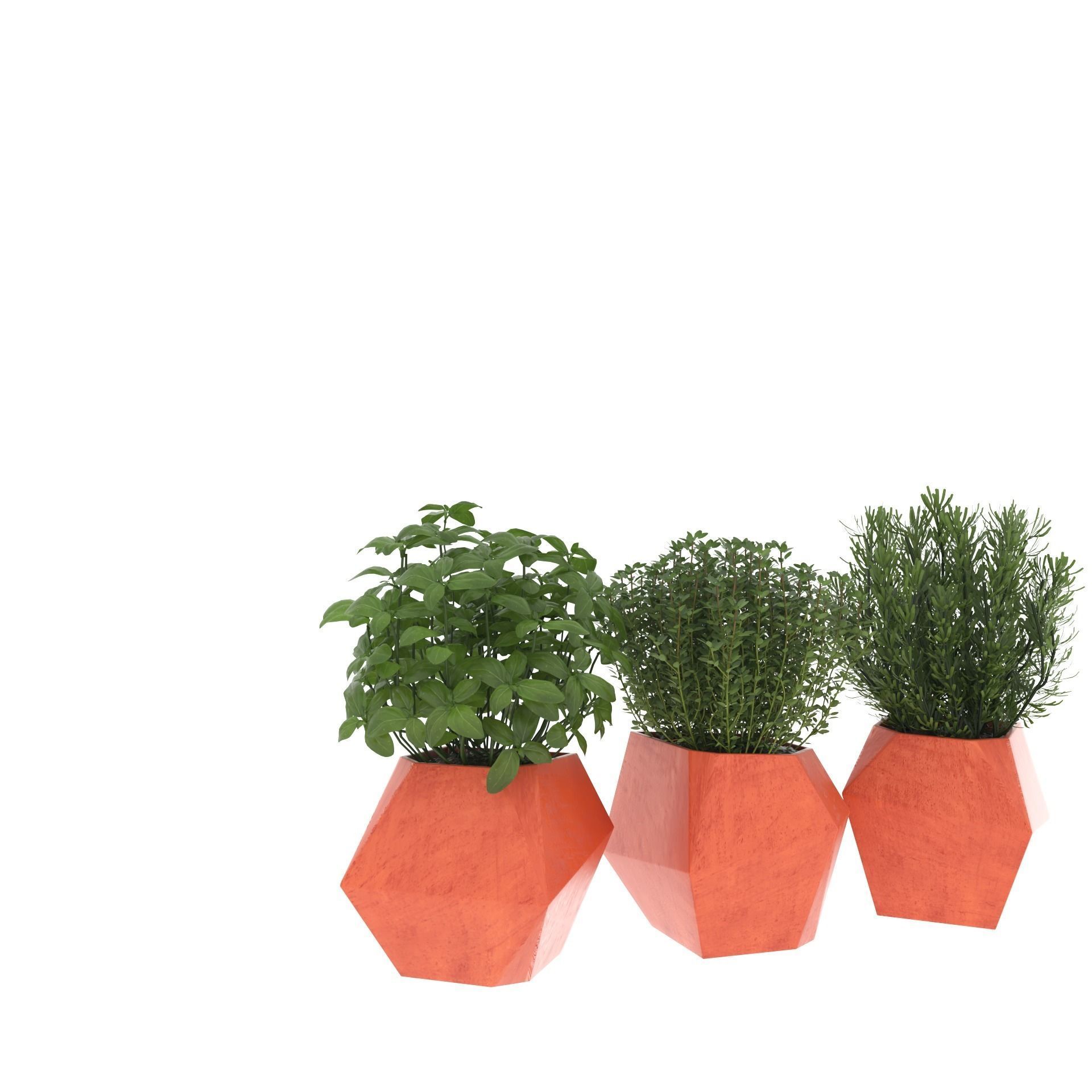 Decor Plants 3D model 3D model_4