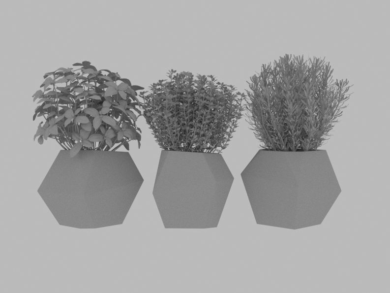Decor Plants 3D model 3D model_3