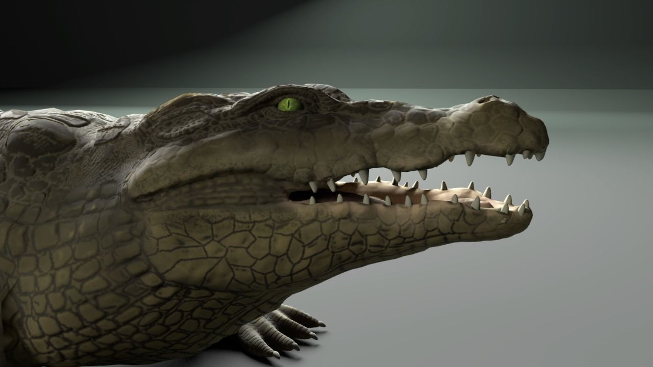 3d crocodile model alligator Low-poly 3D model_7