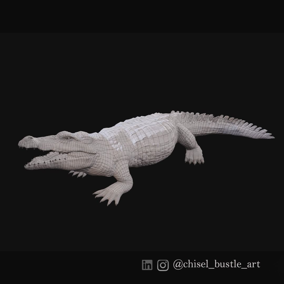 3d crocodile model alligator Low-poly 3D model_12