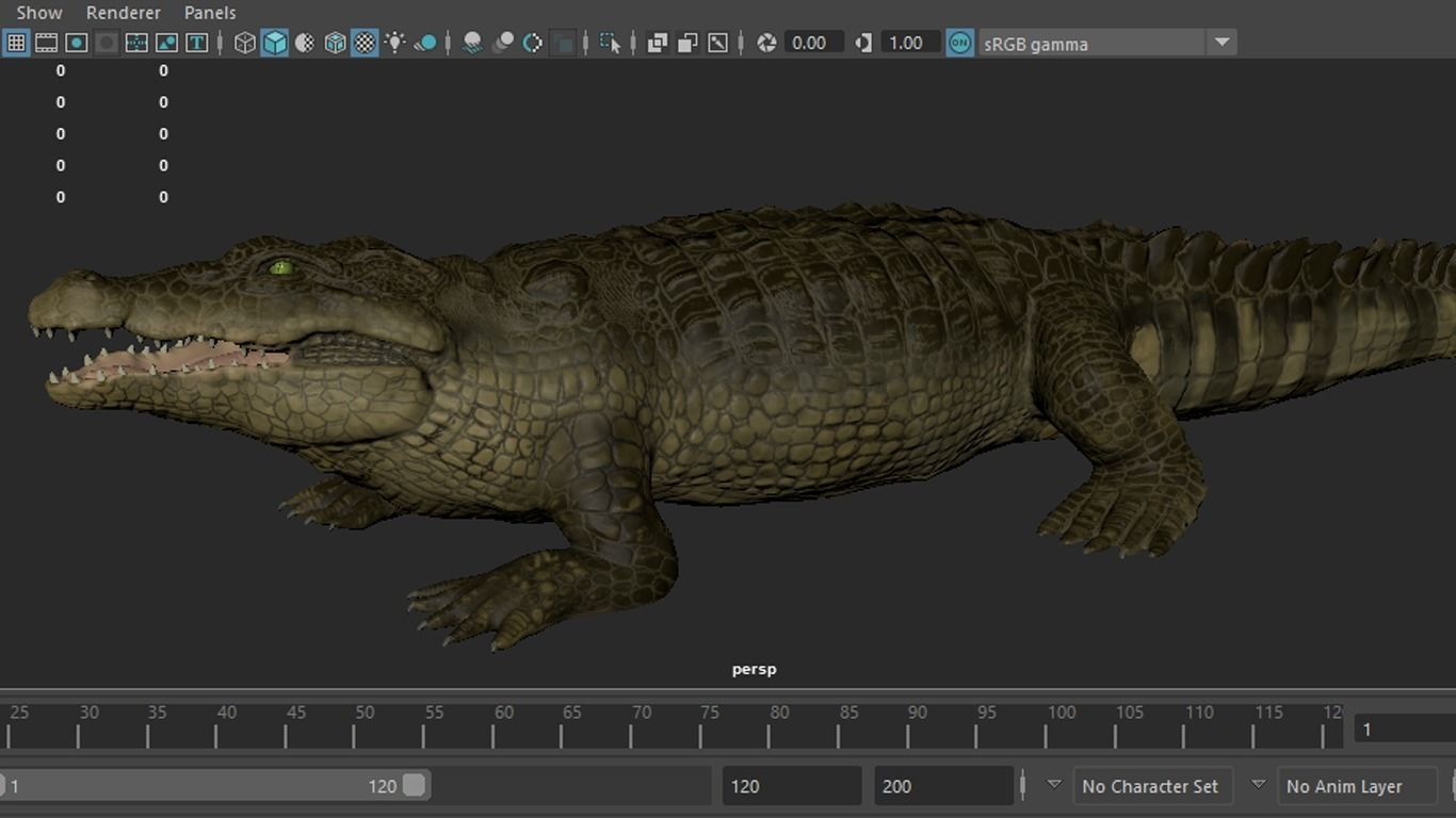 3d crocodile model alligator Low-poly 3D model_11