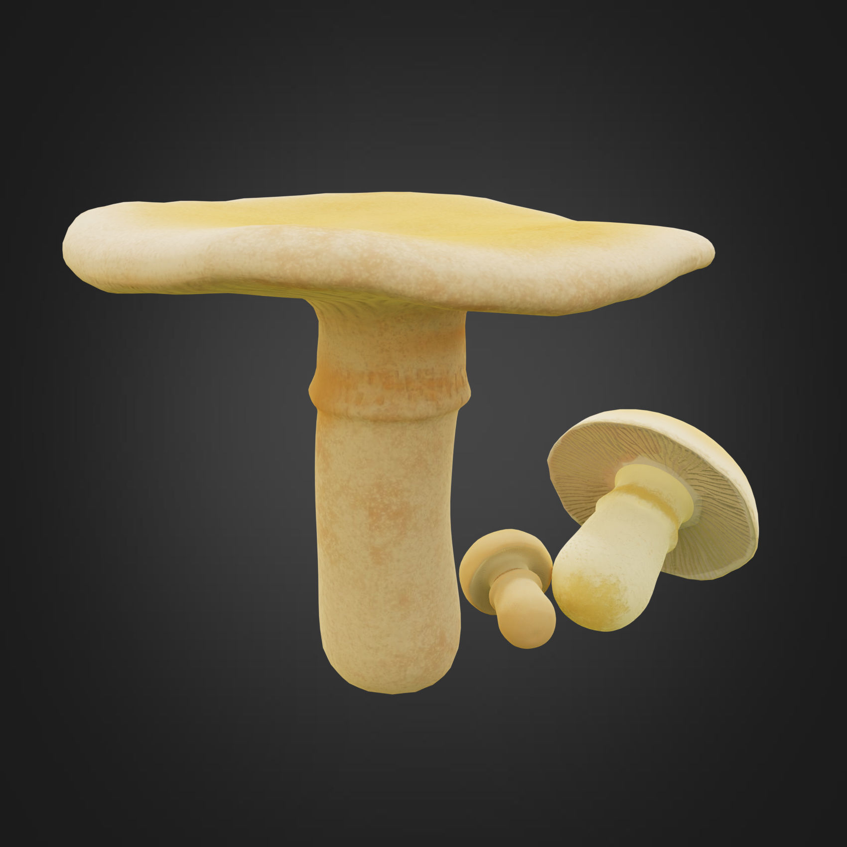 Mushroom set three mushrooms Low-poly 3D model_2
