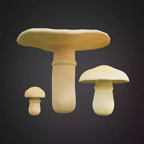 Mushroom set three mushrooms