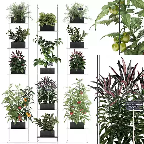 Vertical garden for the kitchen 72