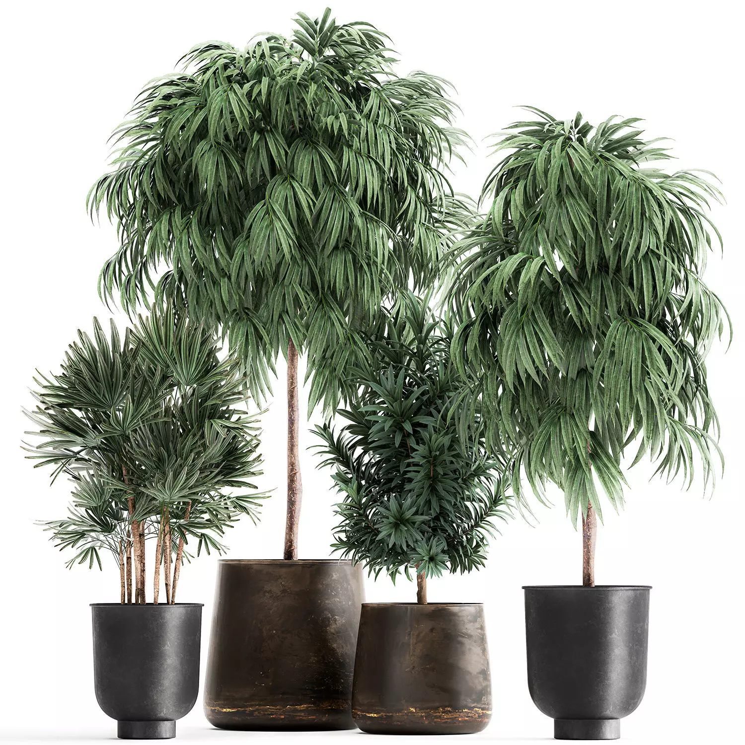 Plants in a rusty flowerpot for the interior 1056 3D model