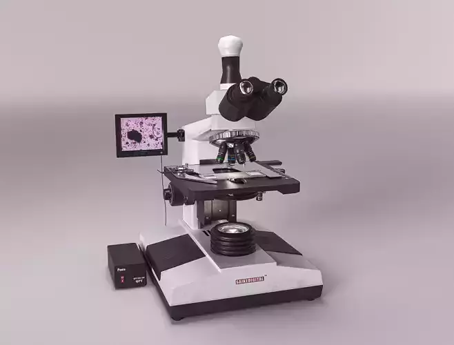 Laboratory Microscope Low Poly PBR Low-poly 3D model