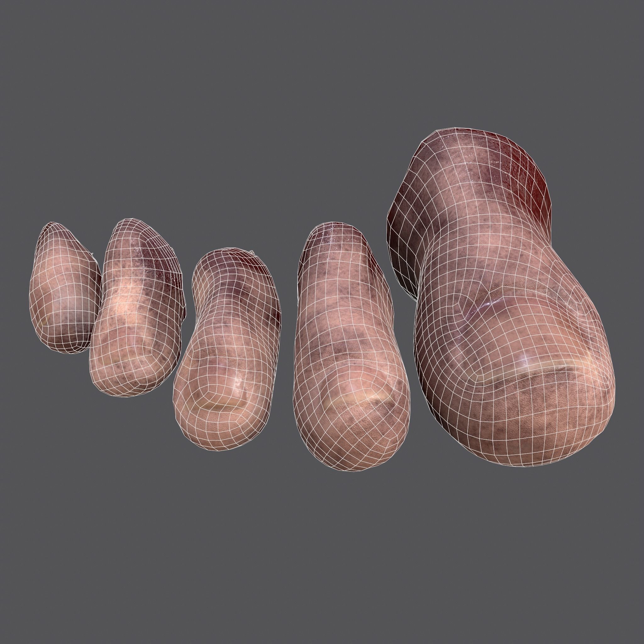 Severed Fingers and Toes 3D Model Collection_18