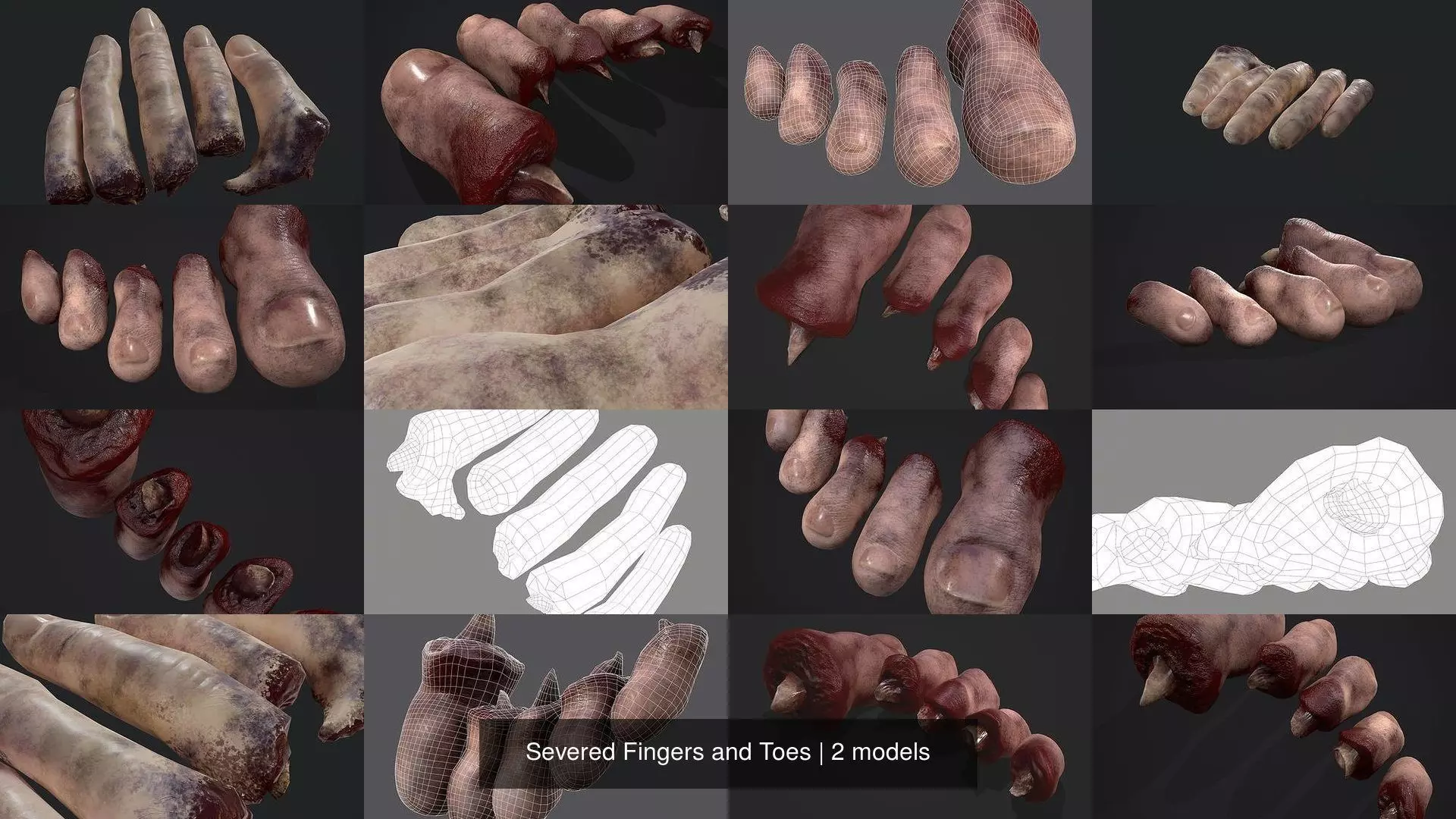 Severed Fingers and Toes 3D Model Collection_3