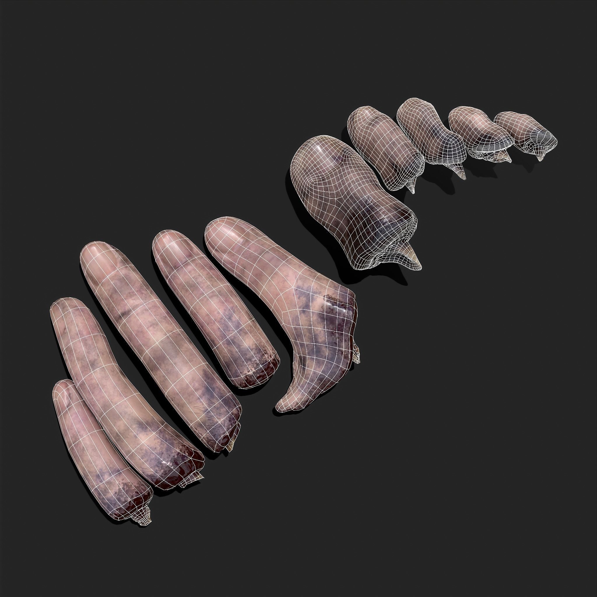 Severed Fingers and Toes 3D Model Collection_6