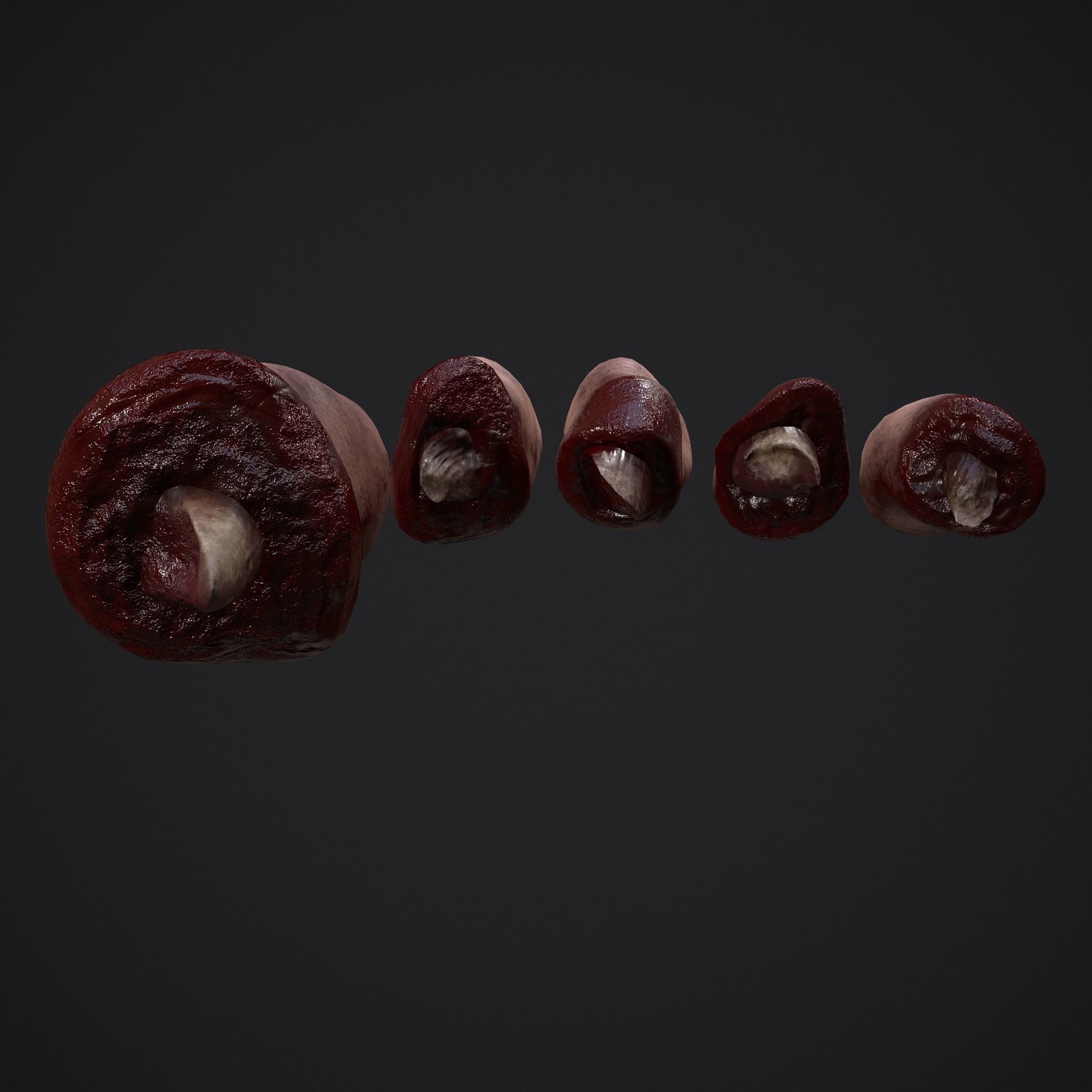 Severed Fingers and Toes 3D Model Collection_33