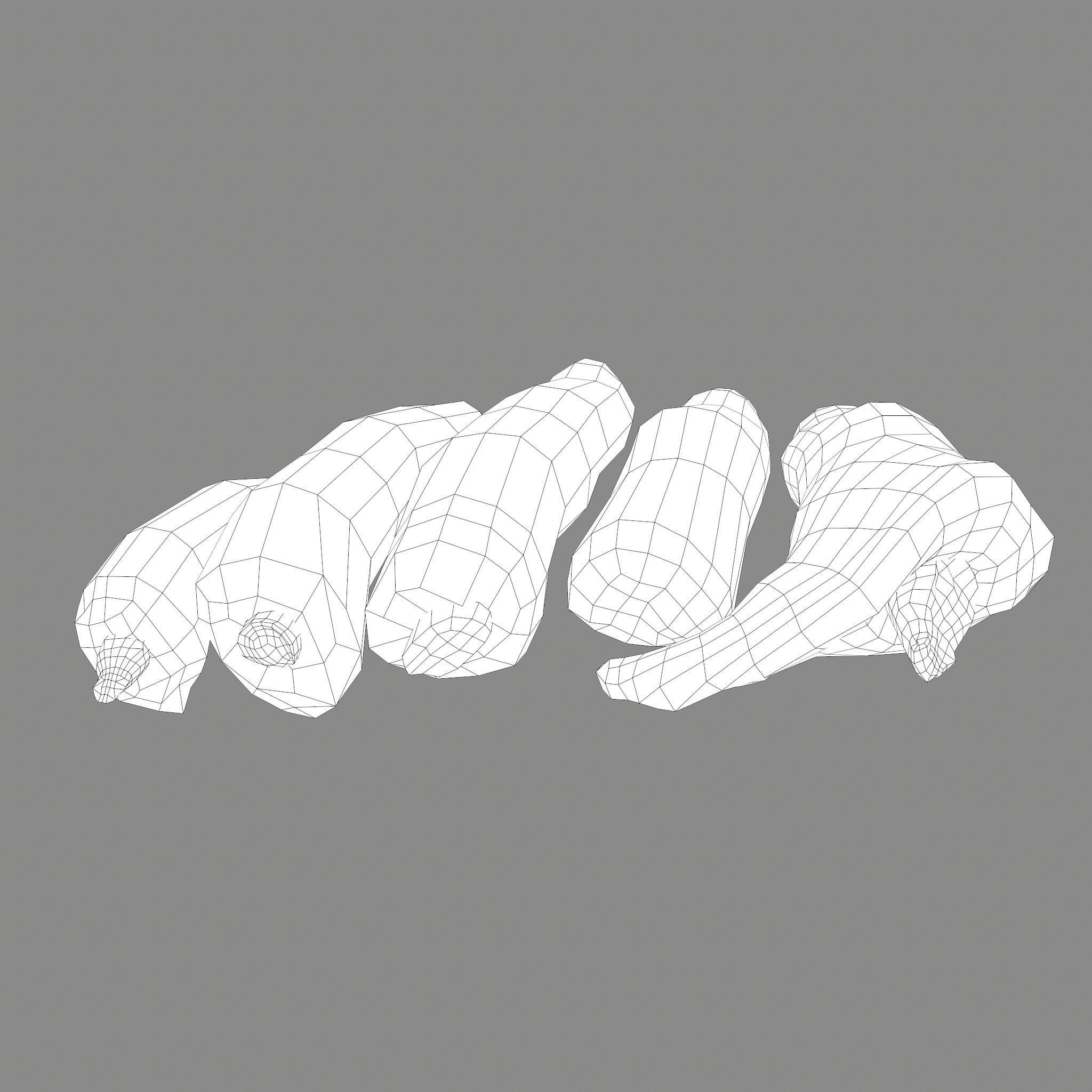 Severed Fingers and Toes 3D Model Collection_92