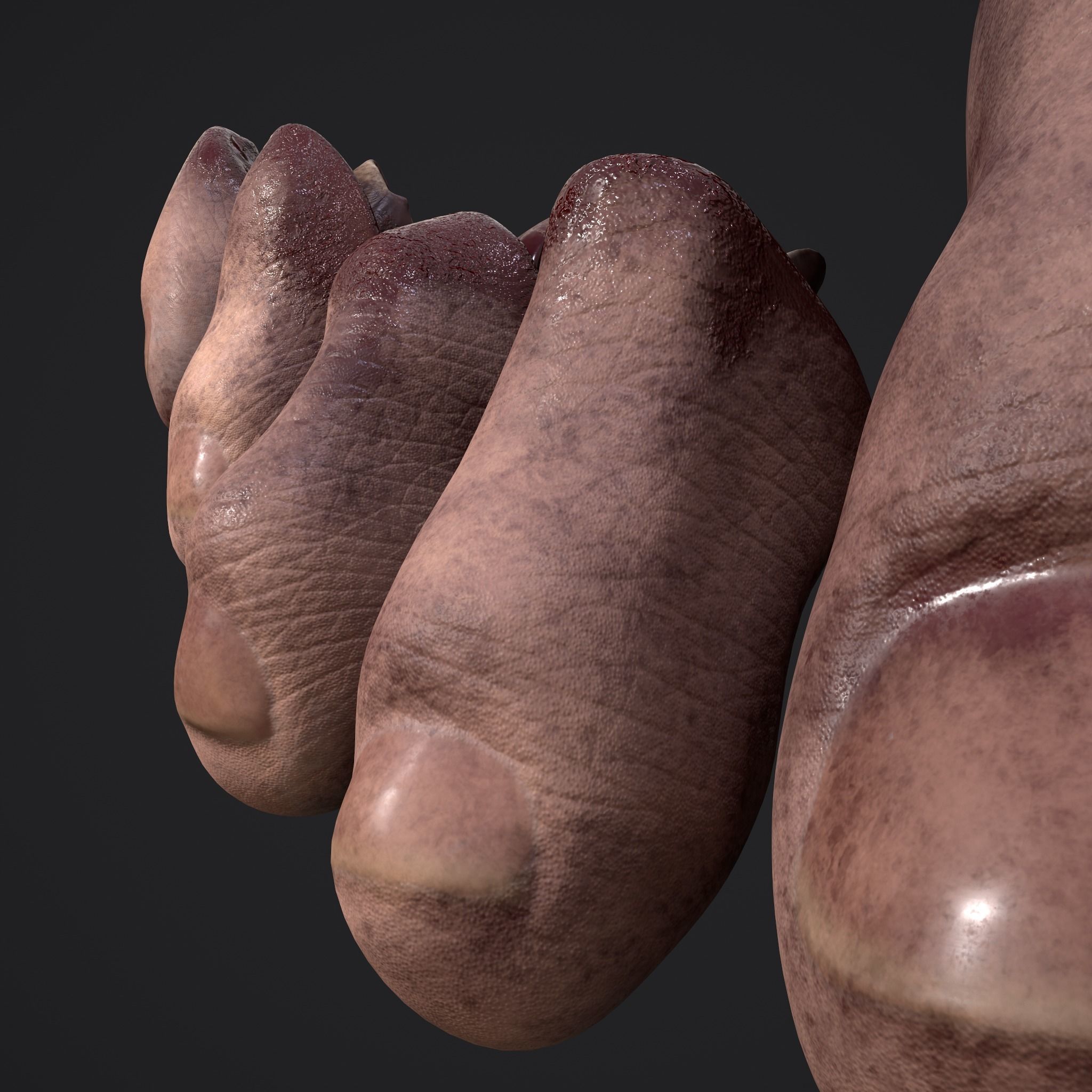 Severed Fingers and Toes 3D Model Collection_66