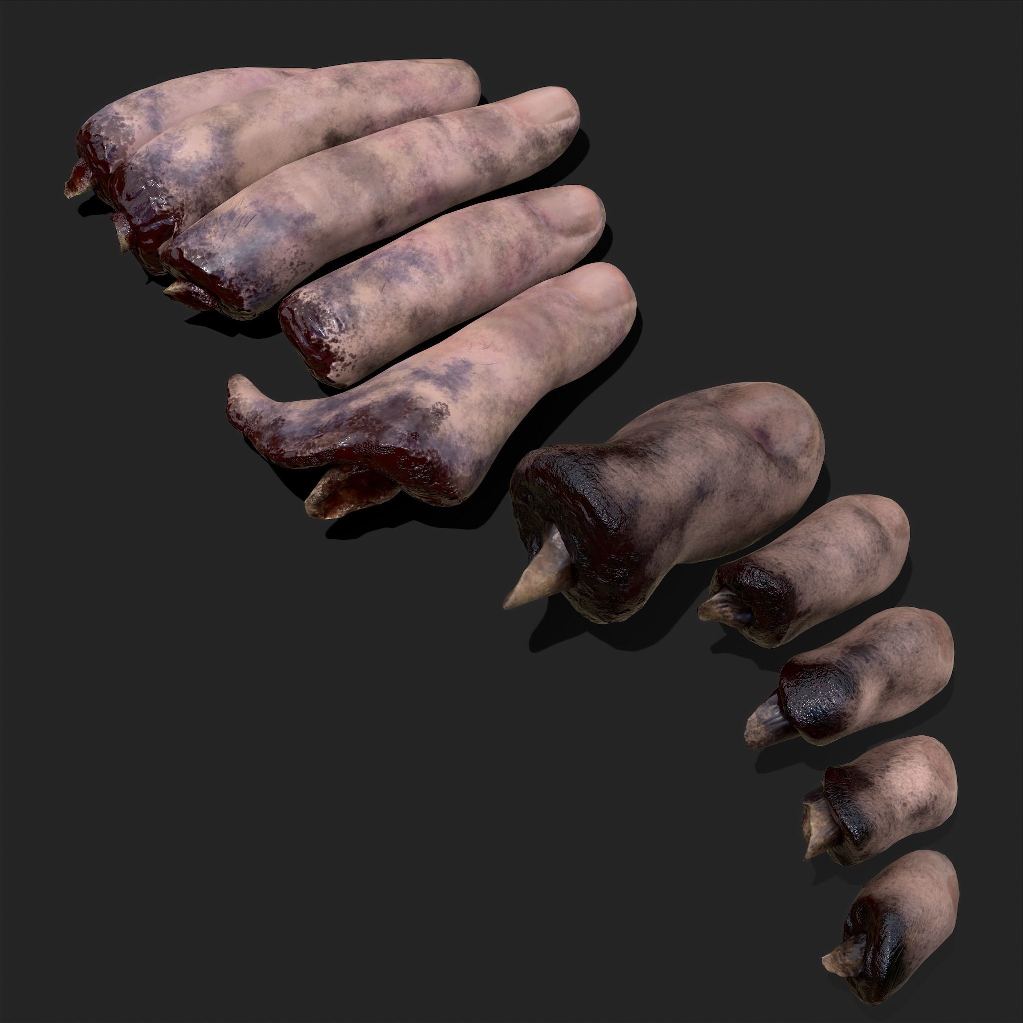 Severed Fingers and Toes 3D Model Collection_111