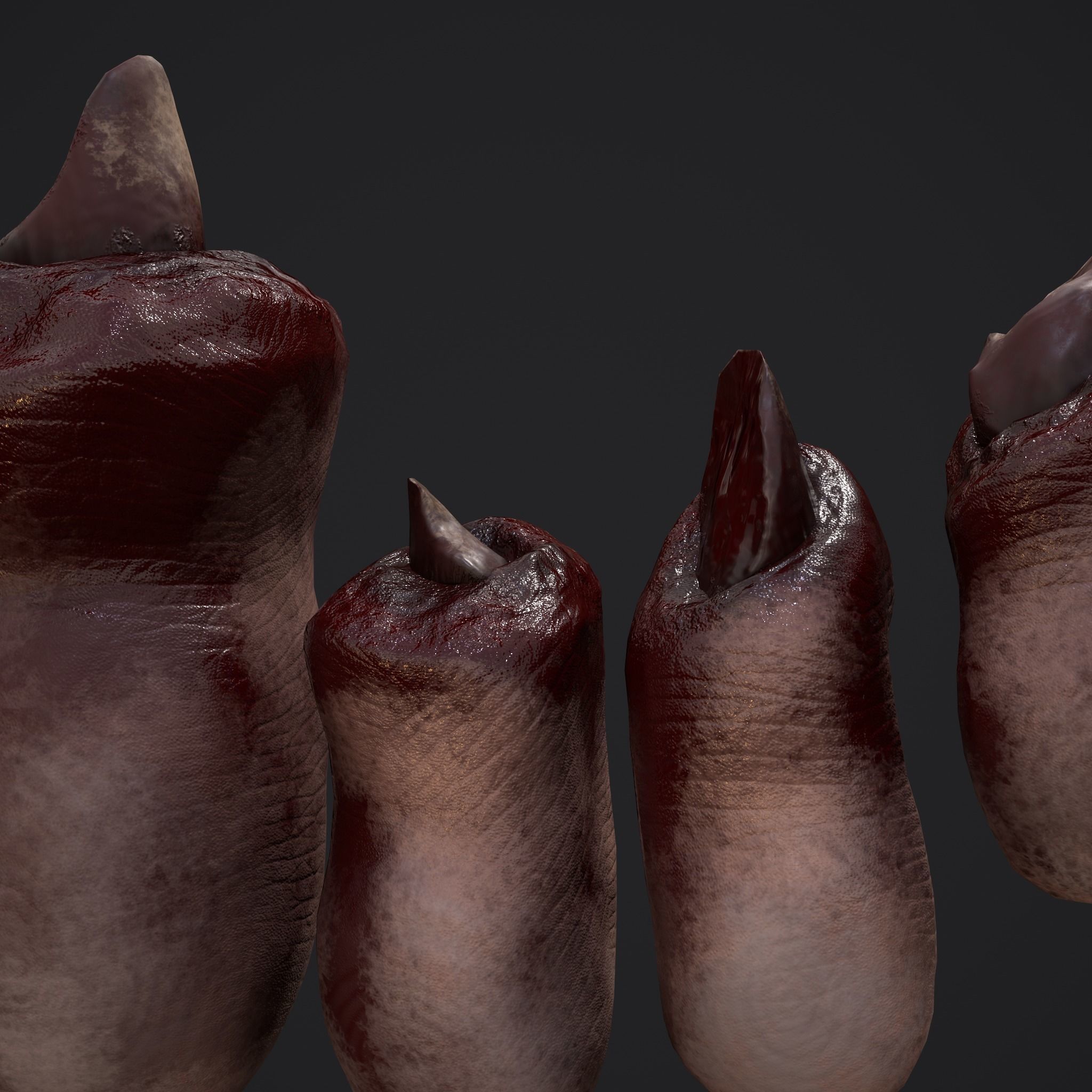 Severed Fingers and Toes 3D Model Collection_56