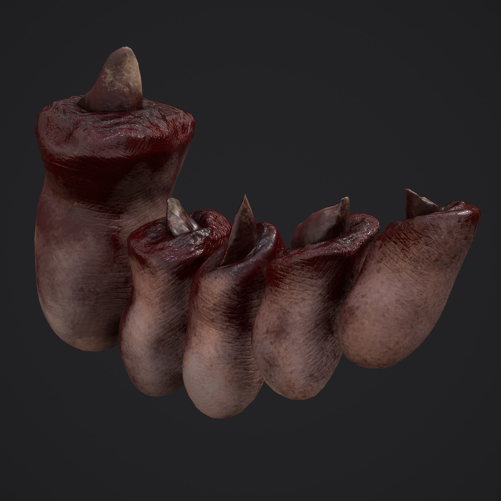Severed Fingers and Toes 3D Model Collection_41