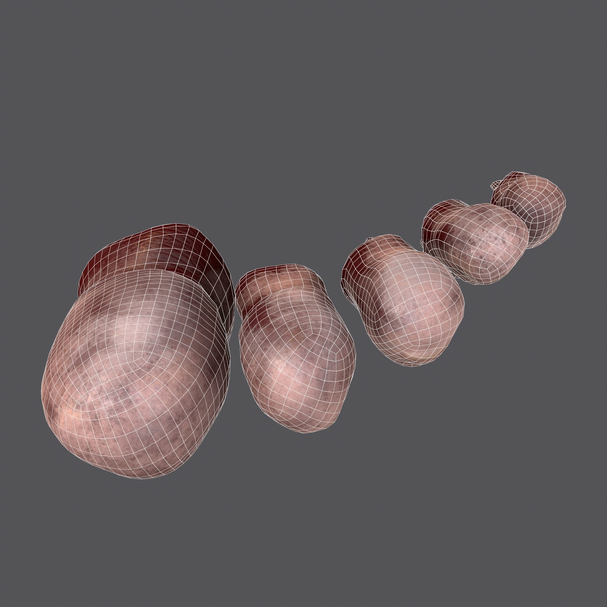 Severed Fingers and Toes 3D Model Collection_12