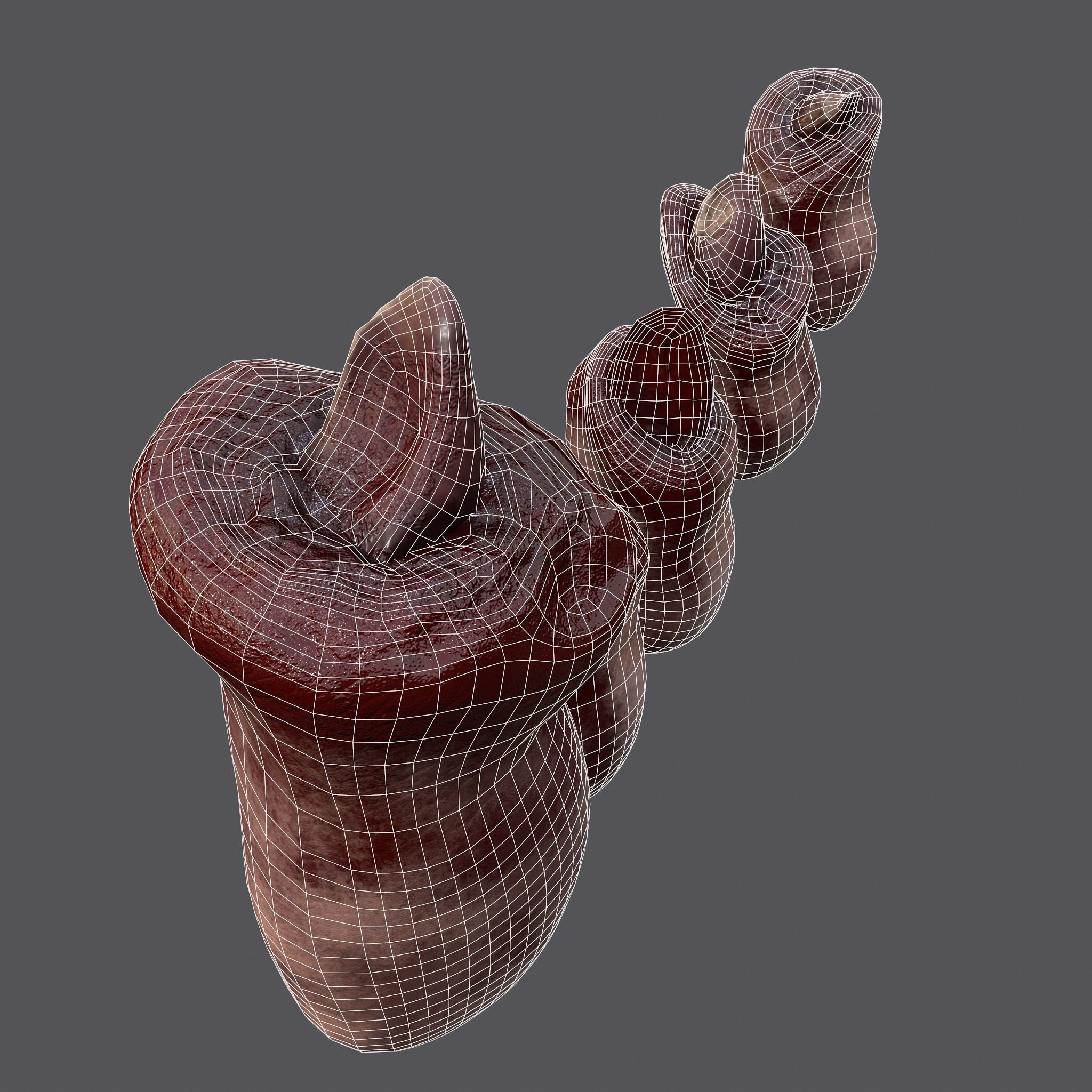 Severed Fingers and Toes 3D Model Collection_36