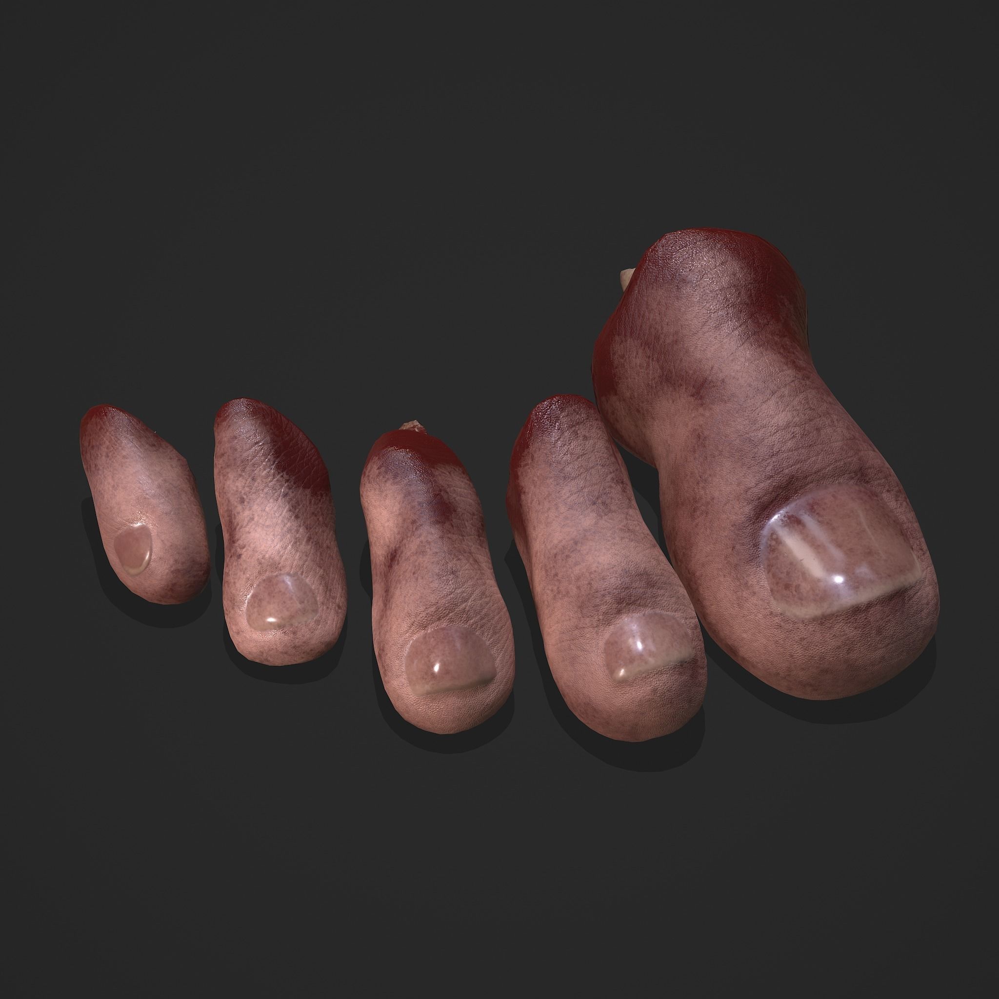 Severed Fingers and Toes 3D Model Collection_17