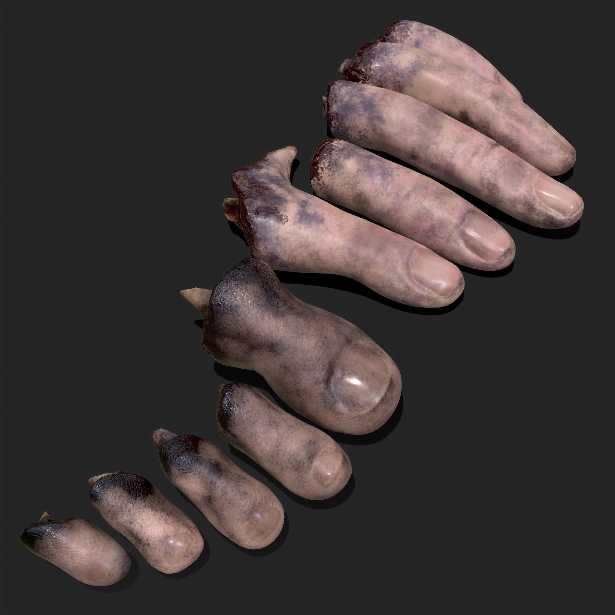 Severed Fingers and Toes 3D Model Collection_110