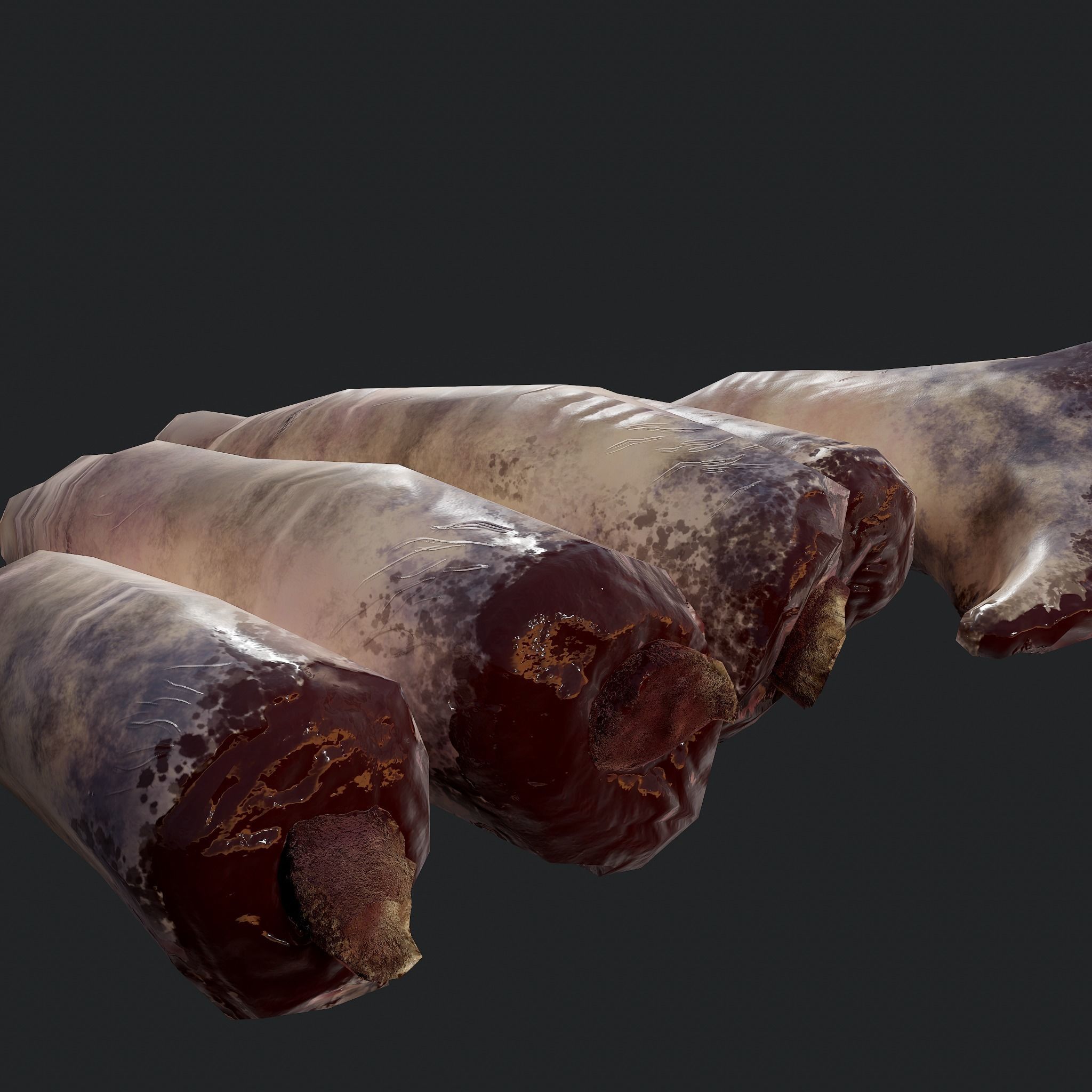 Severed Fingers and Toes 3D Model Collection_104