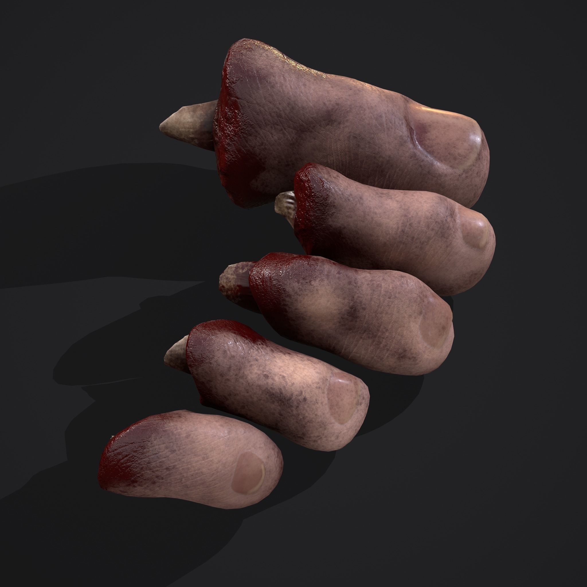 Severed Fingers and Toes 3D Model Collection_30
