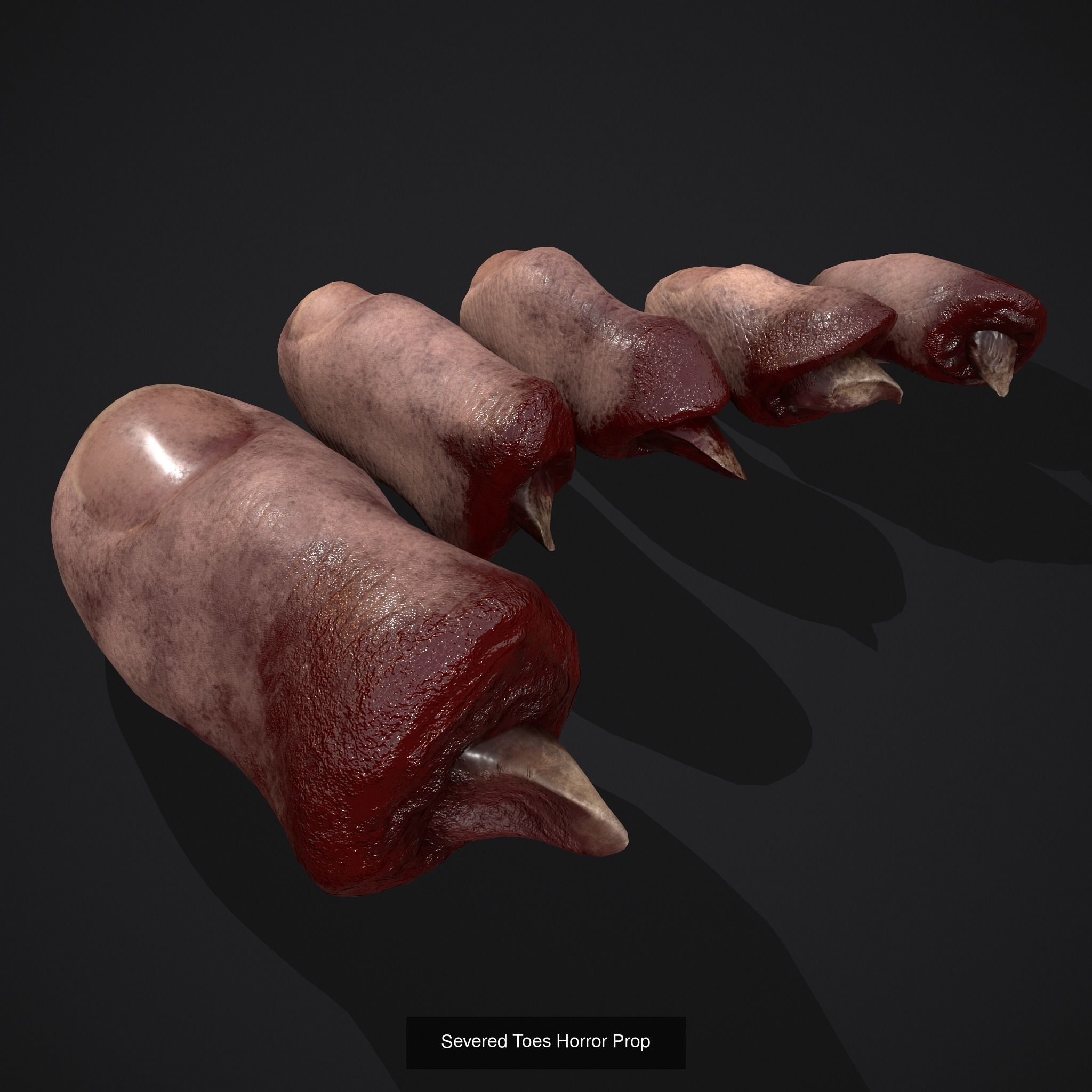 Severed Fingers and Toes 3D Model Collection_8