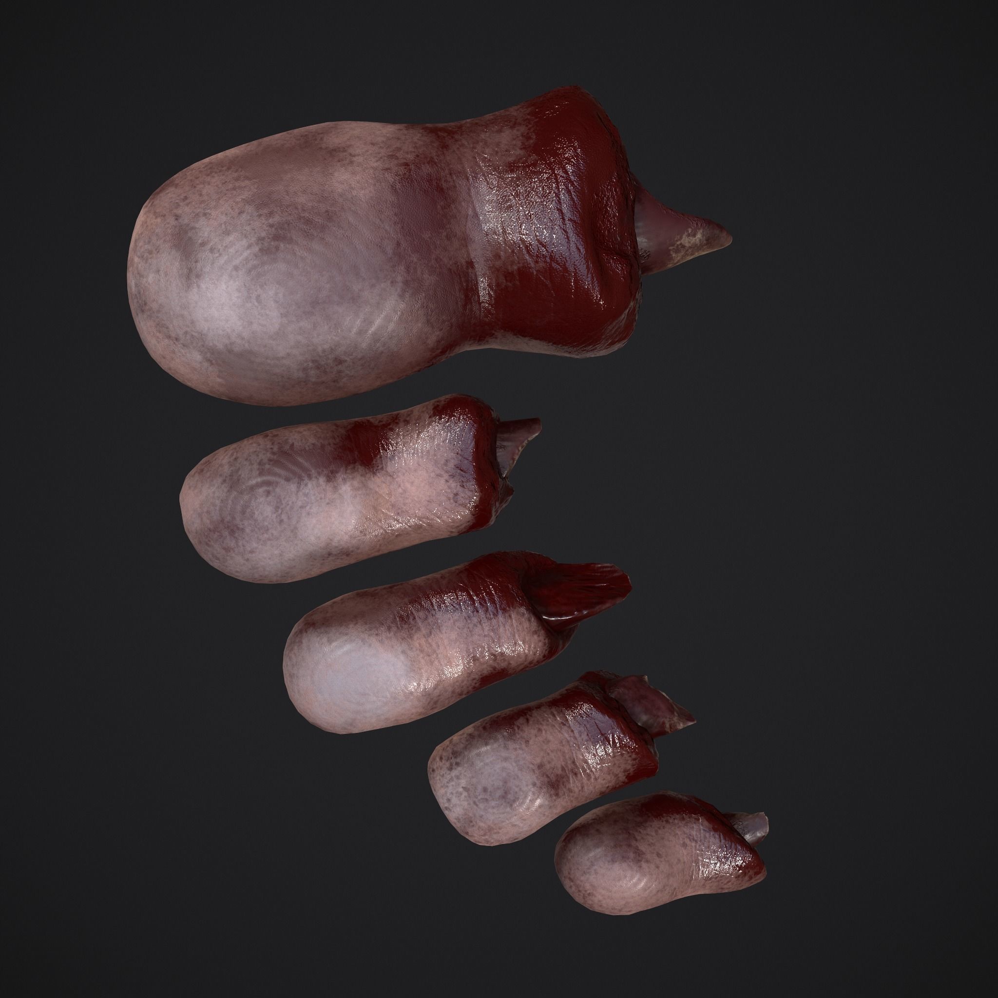 Severed Fingers and Toes 3D Model Collection_55