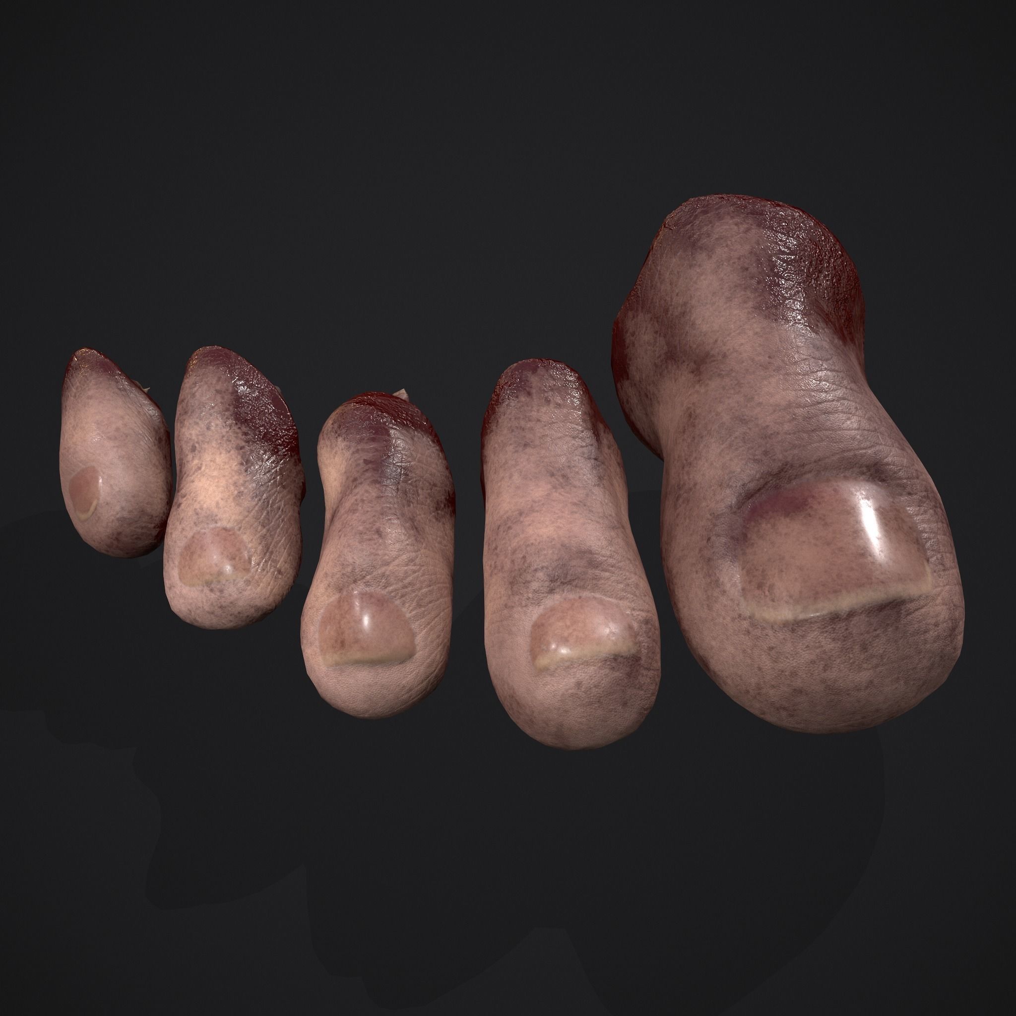 Severed Fingers and Toes 3D Model Collection_52