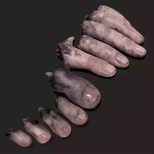 Severed Fingers and Toes 3D Model Collection