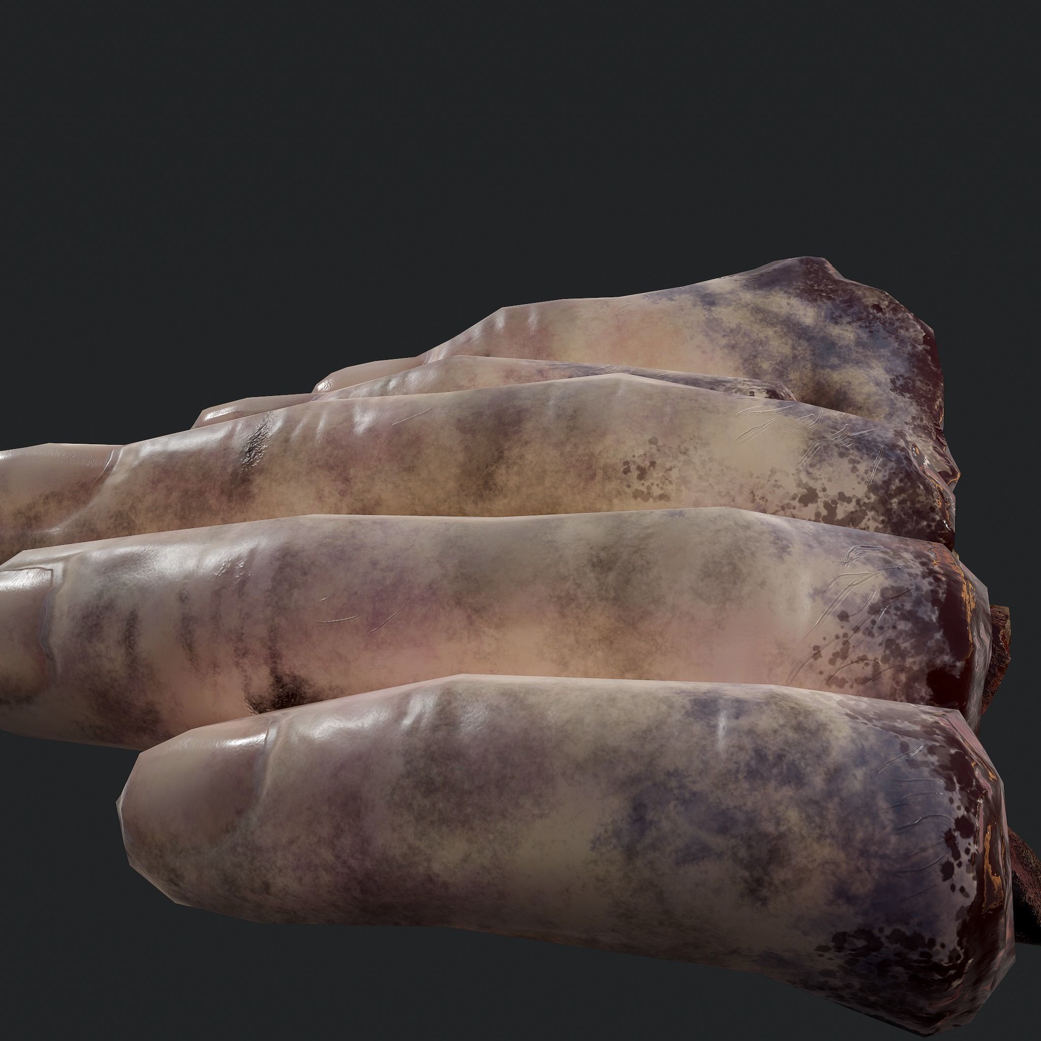 Severed Fingers and Toes 3D Model Collection_103