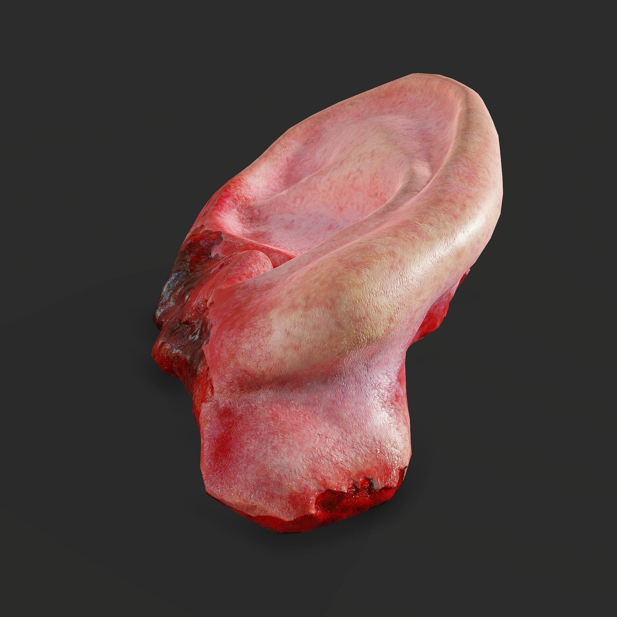 Severed Fingers Toes Ears and Nose 3D Model Collection_133