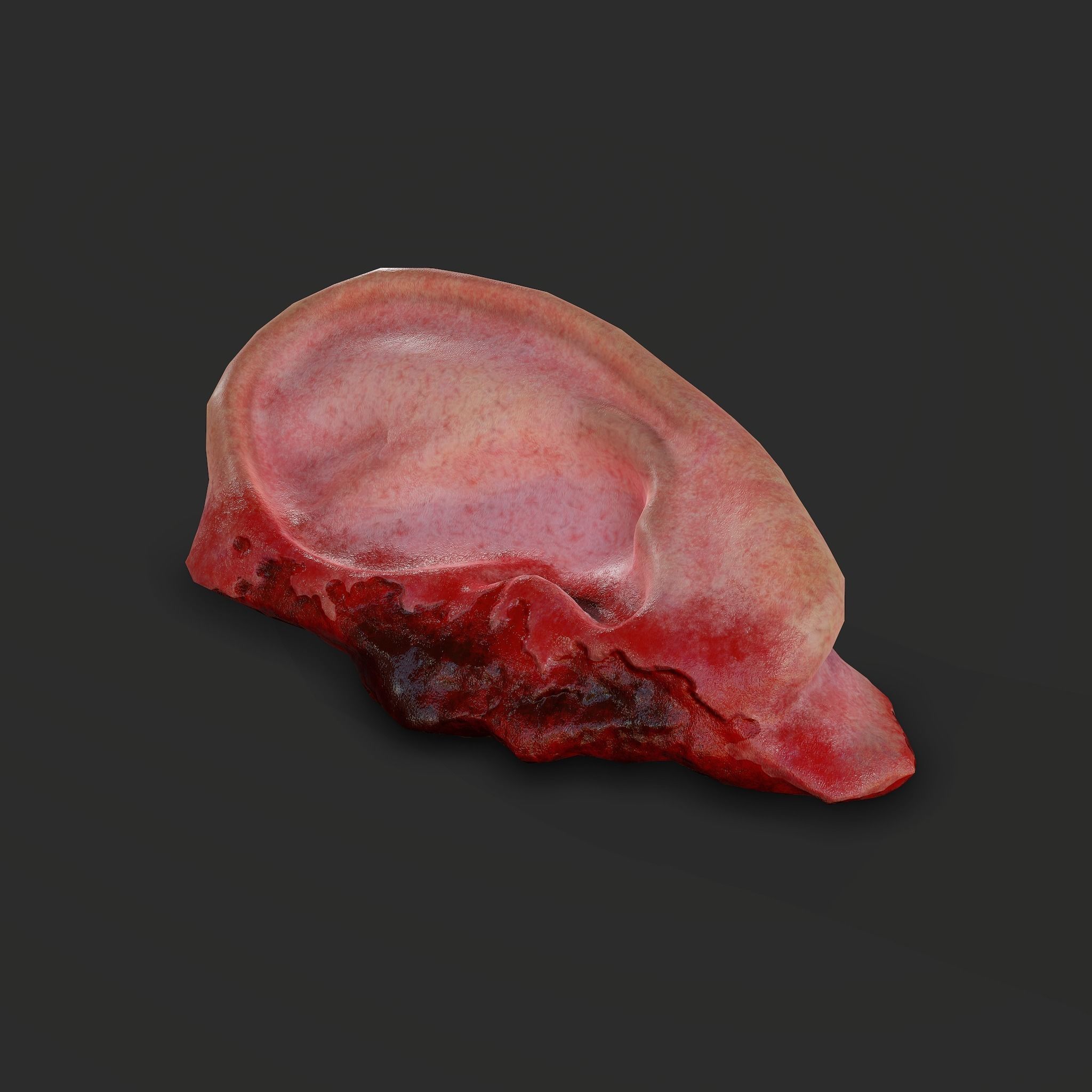 Severed Fingers Toes Ears and Nose 3D Model Collection_126