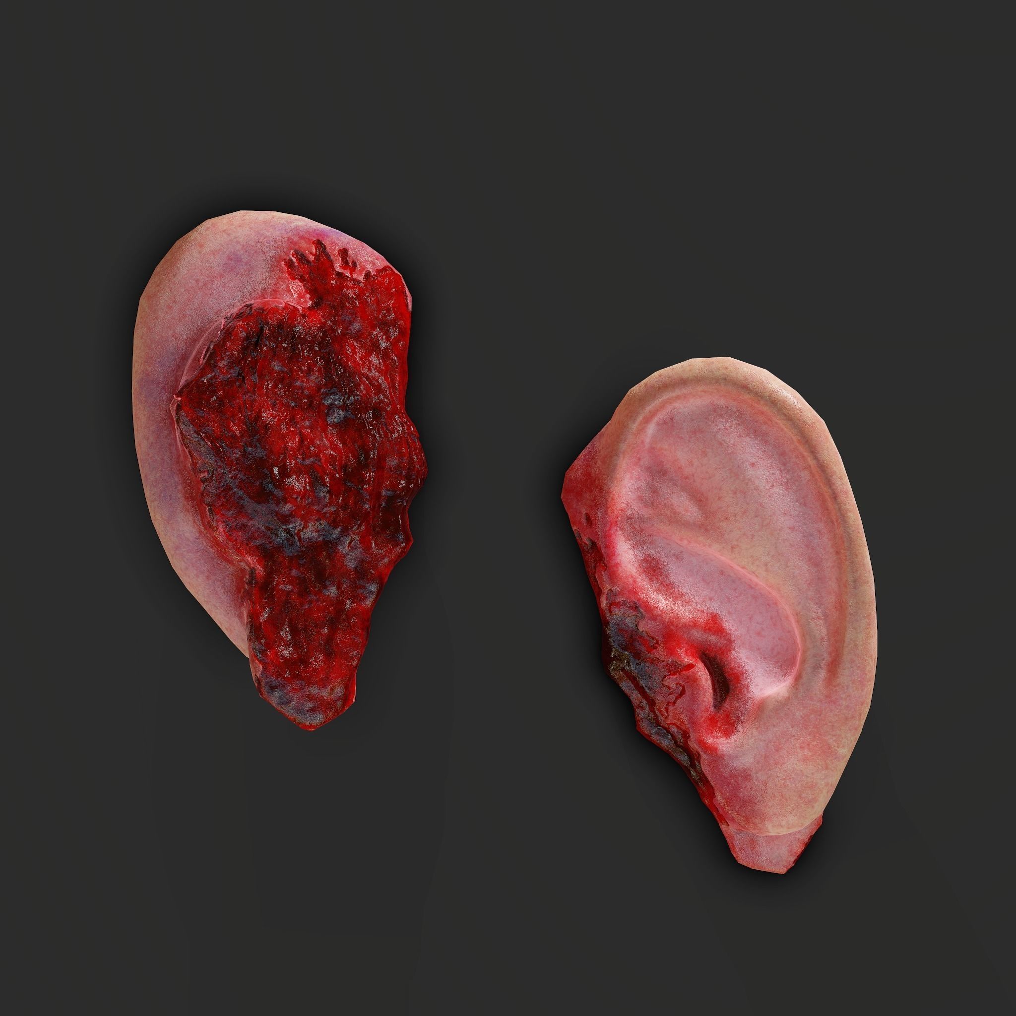 Severed Fingers Toes Ears and Nose 3D Model Collection_139