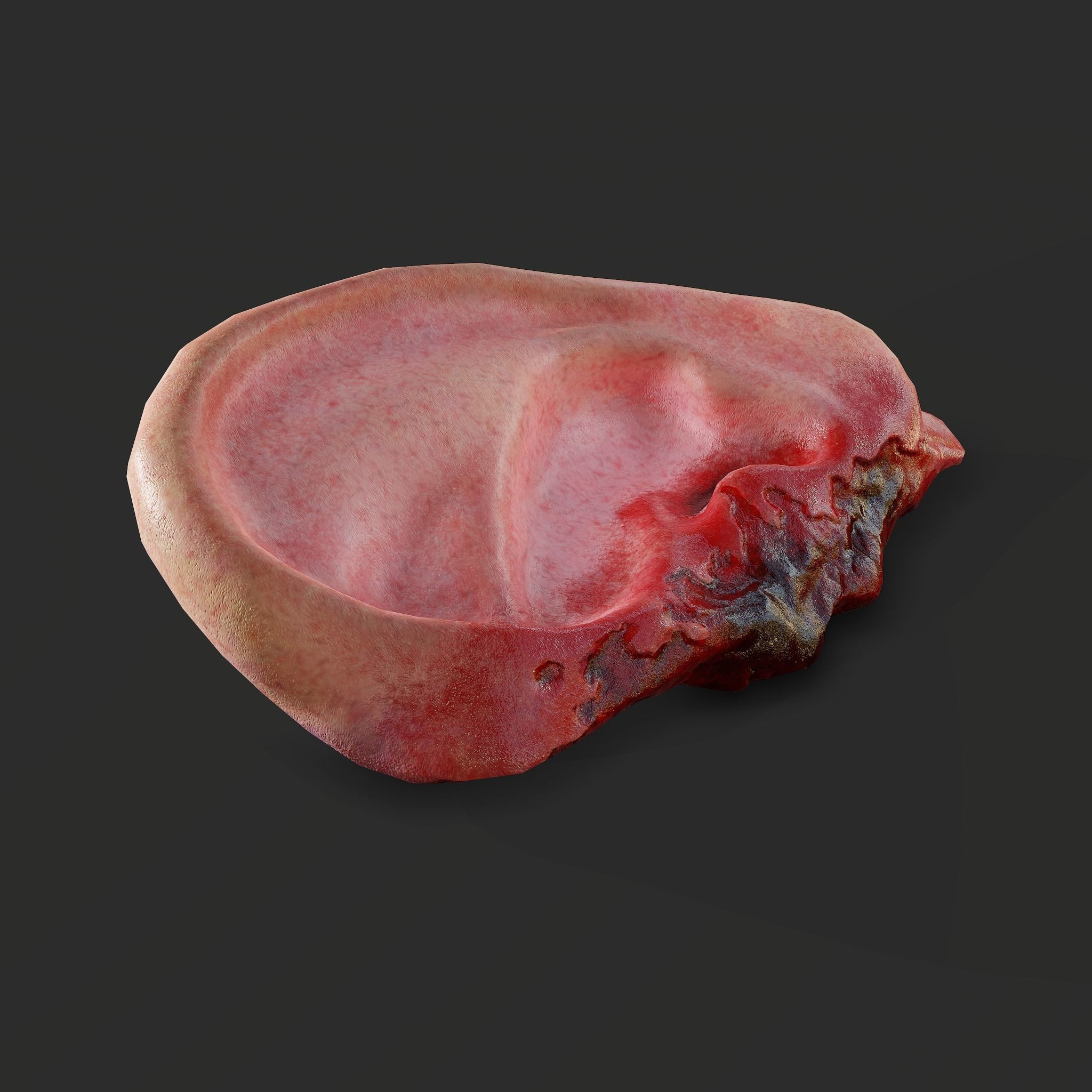 Severed Fingers Toes Ears and Nose 3D Model Collection_137