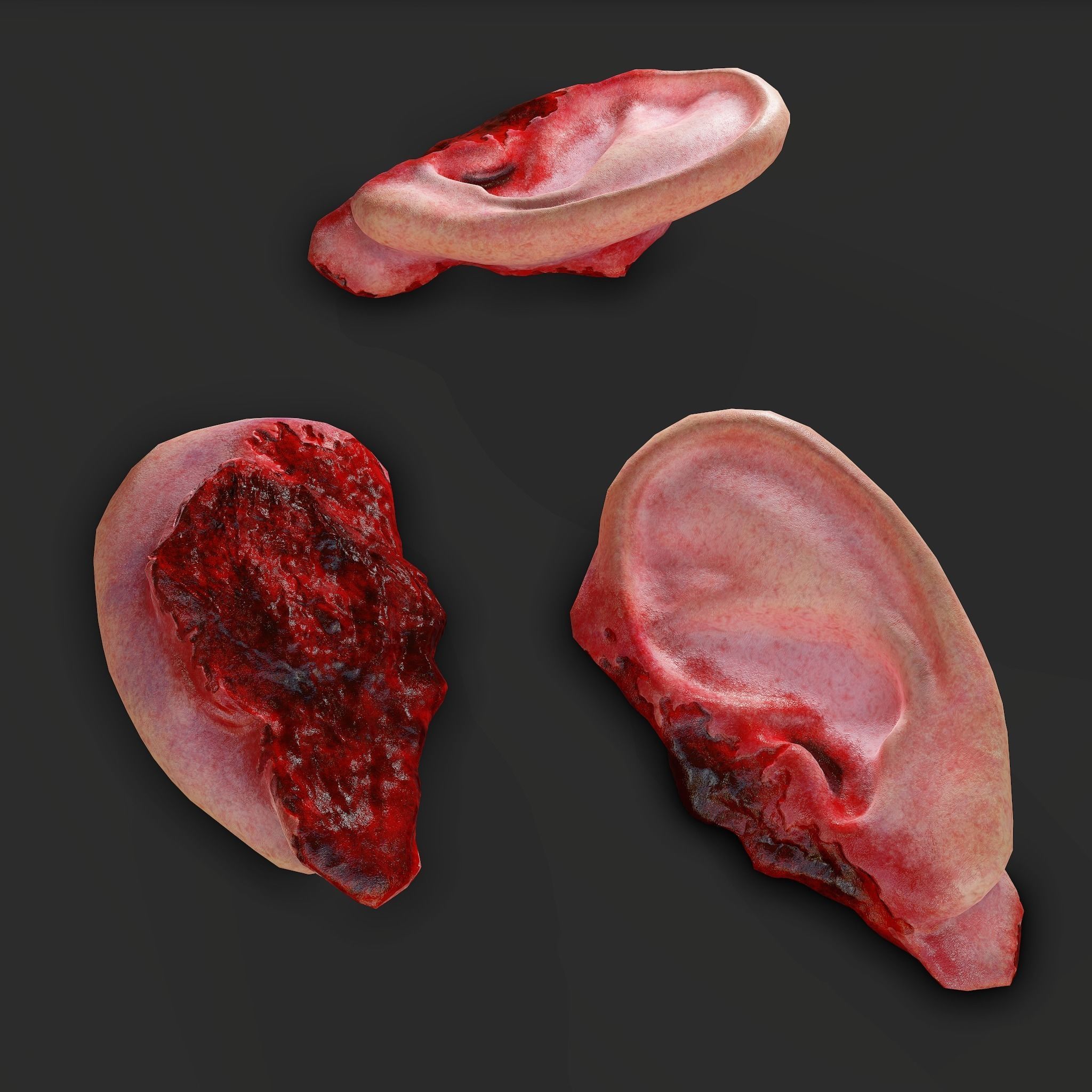 Severed Fingers Toes Ears and Nose 3D Model Collection_159