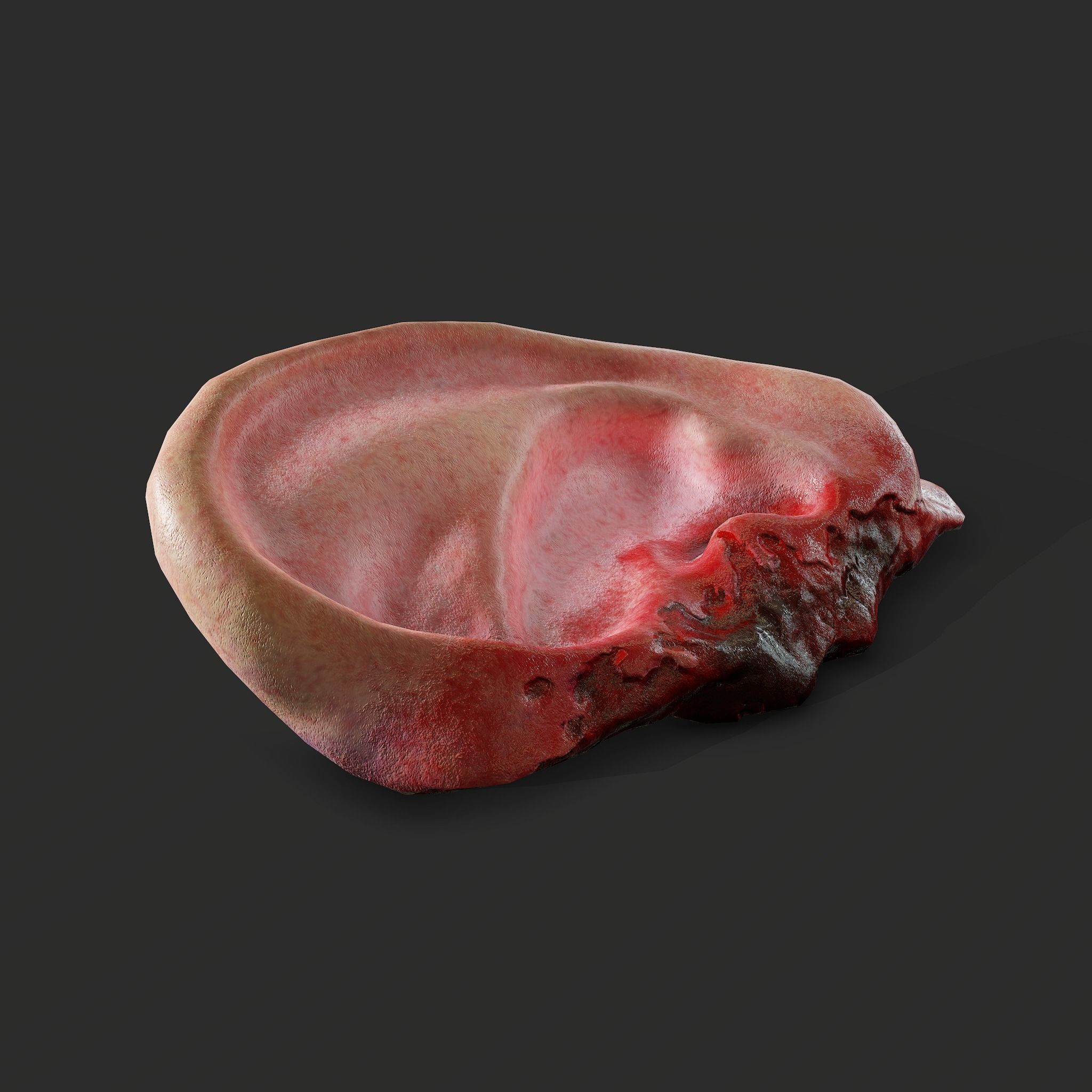 Severed Fingers Toes Ears and Nose 3D Model Collection_136