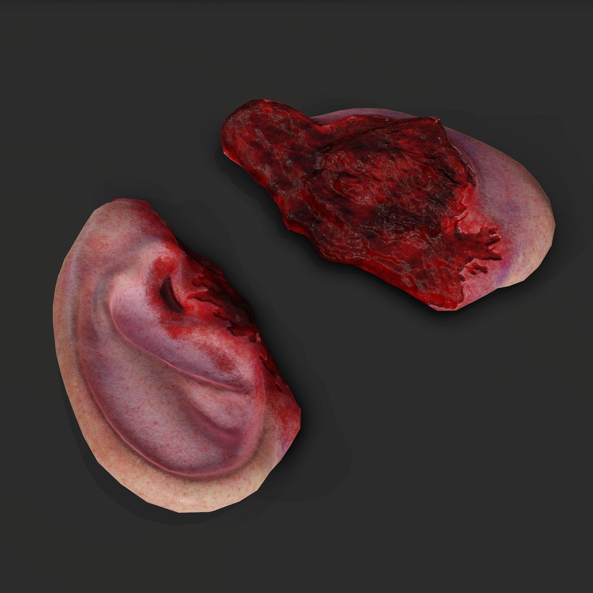 Severed Fingers Toes Ears and Nose 3D Model Collection_138