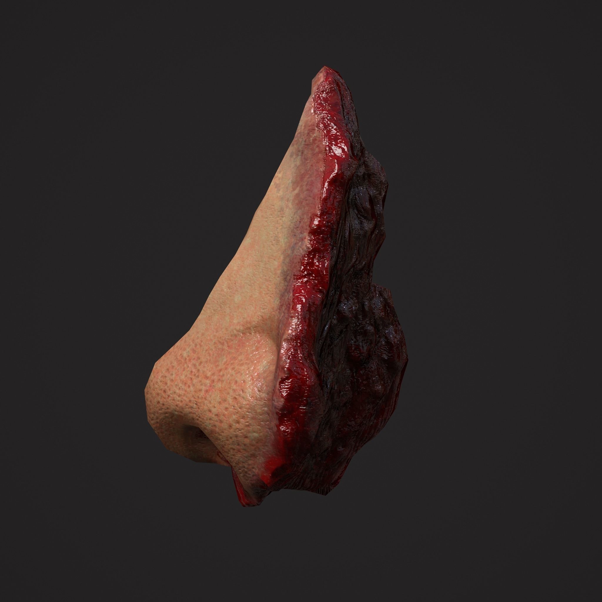 Severed Fingers Toes Ears and Nose 3D Model Collection_64