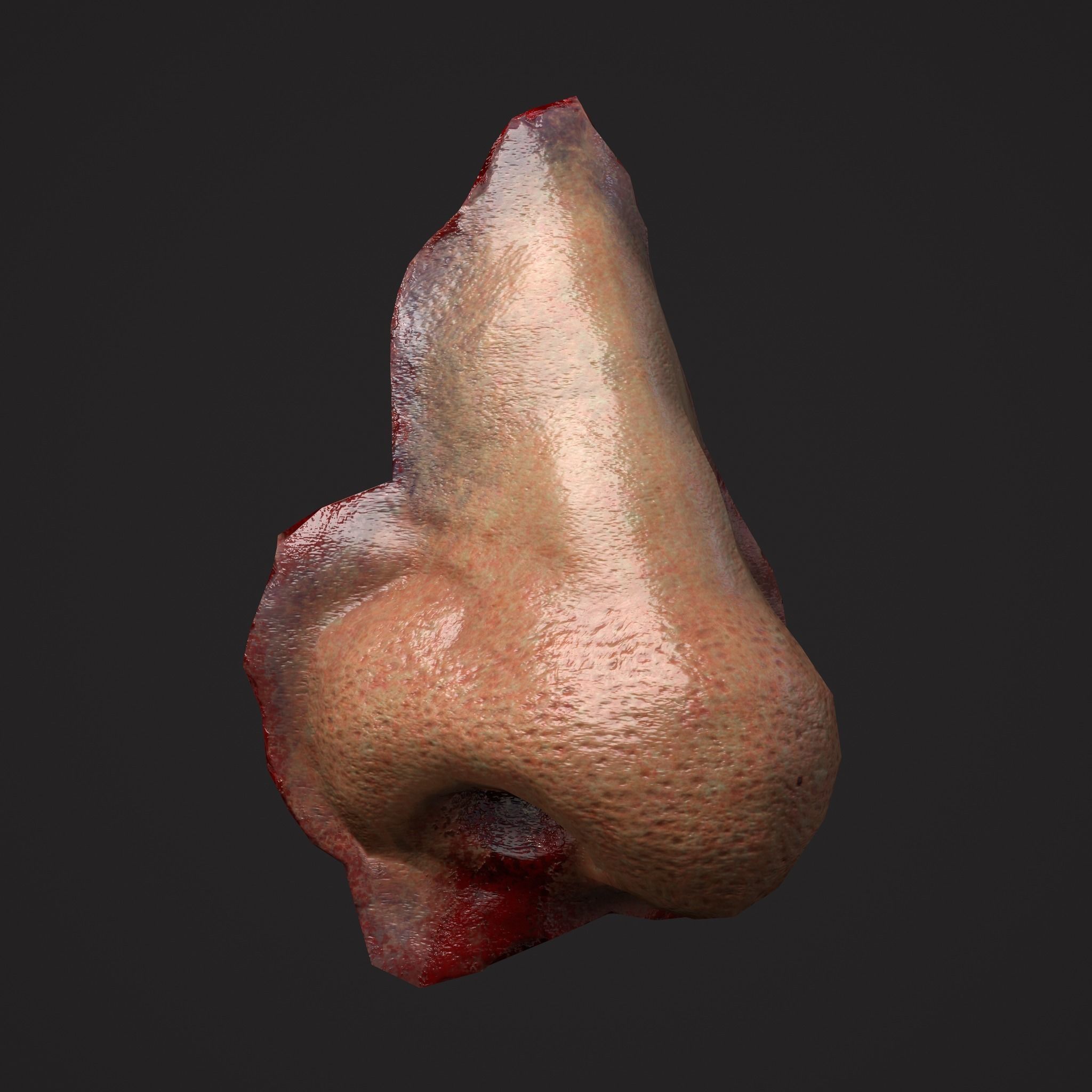 Severed Fingers Toes Ears and Nose 3D Model Collection_75