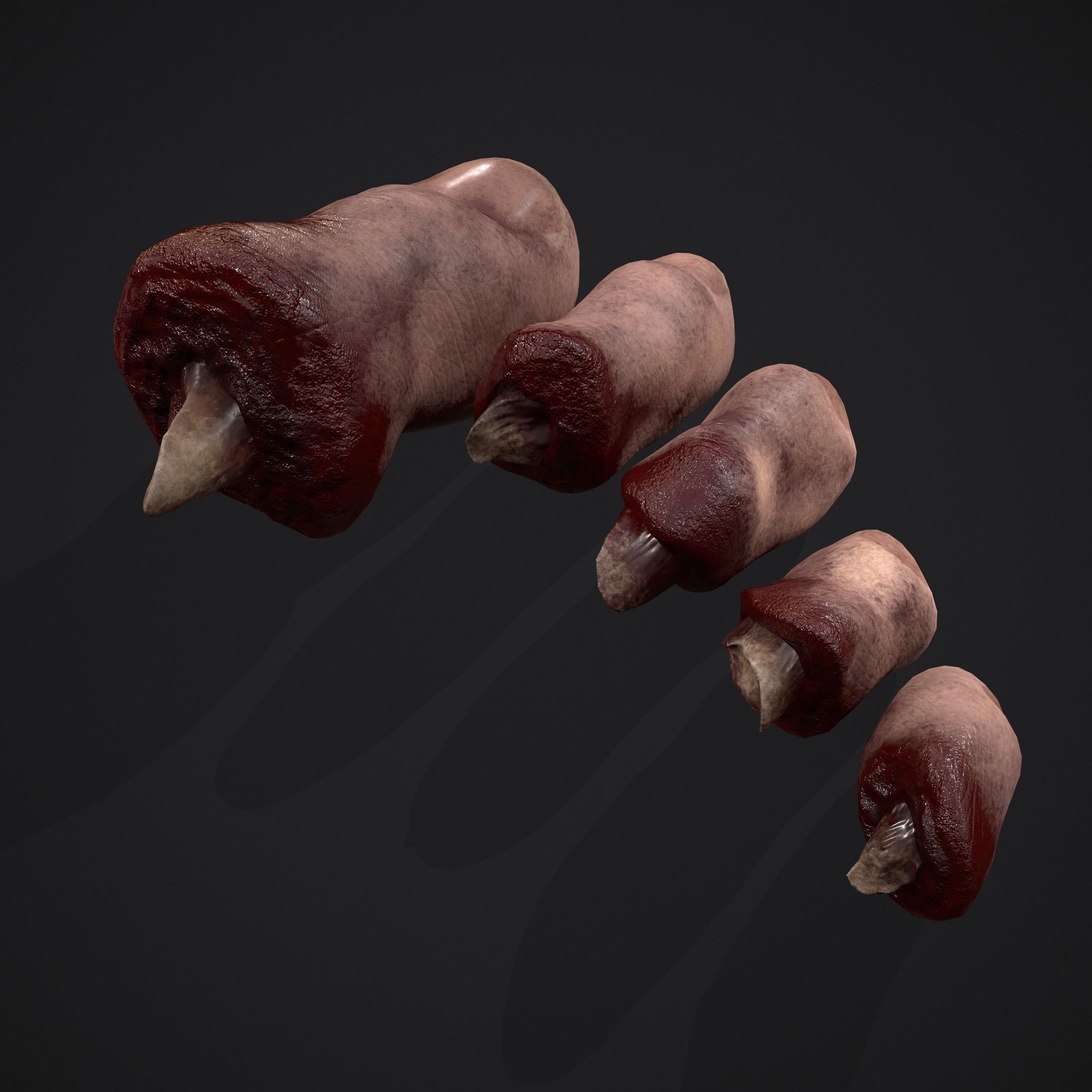 Severed Fingers Toes Ears and Nose 3D Model Collection_33