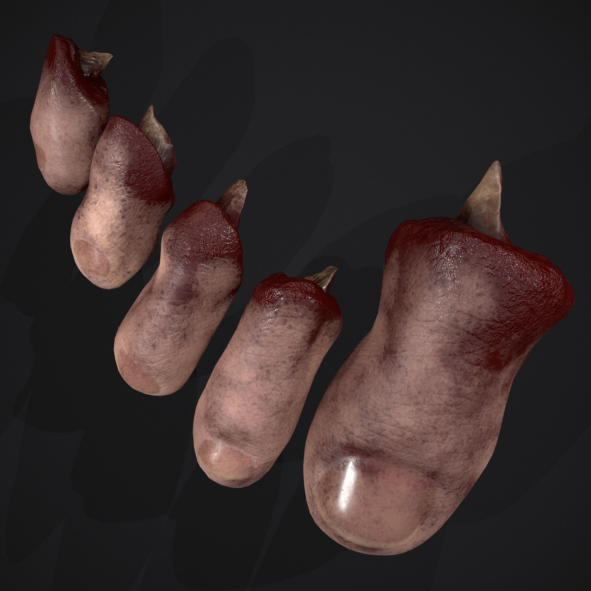 Severed Fingers Toes Ears and Nose 3D Model Collection_52