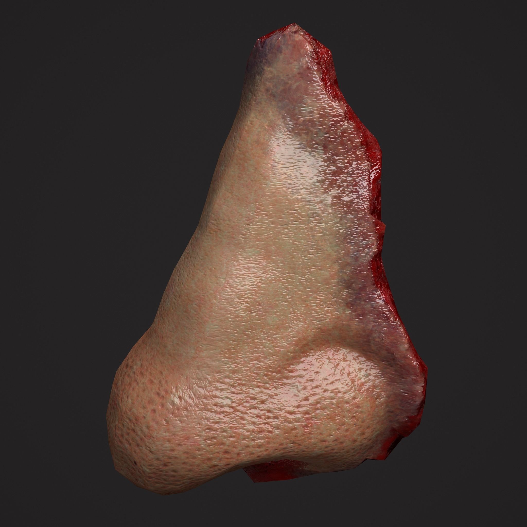 Severed Fingers Toes Ears and Nose 3D Model Collection_93