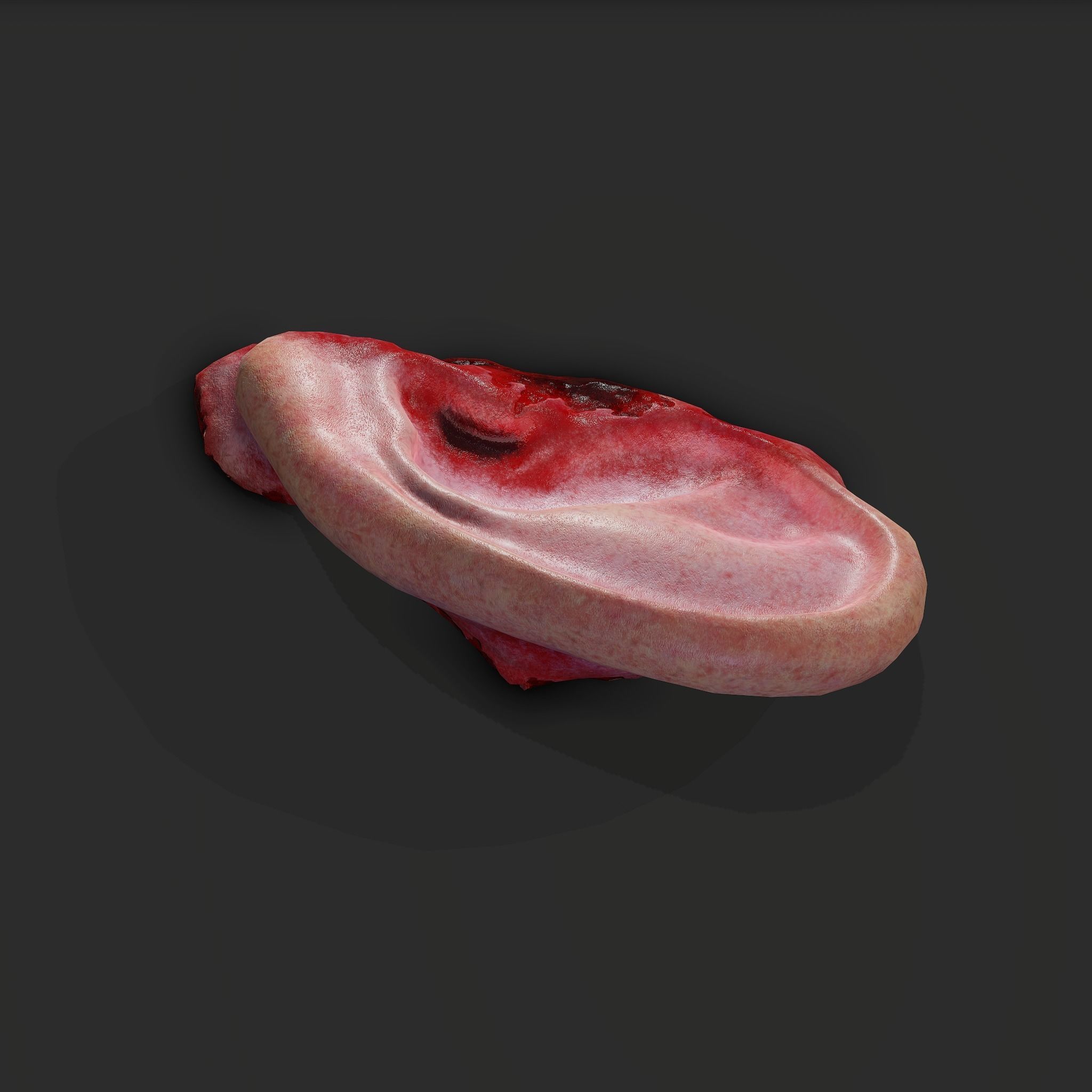 Severed Fingers Toes Ears and Nose 3D Model Collection_122