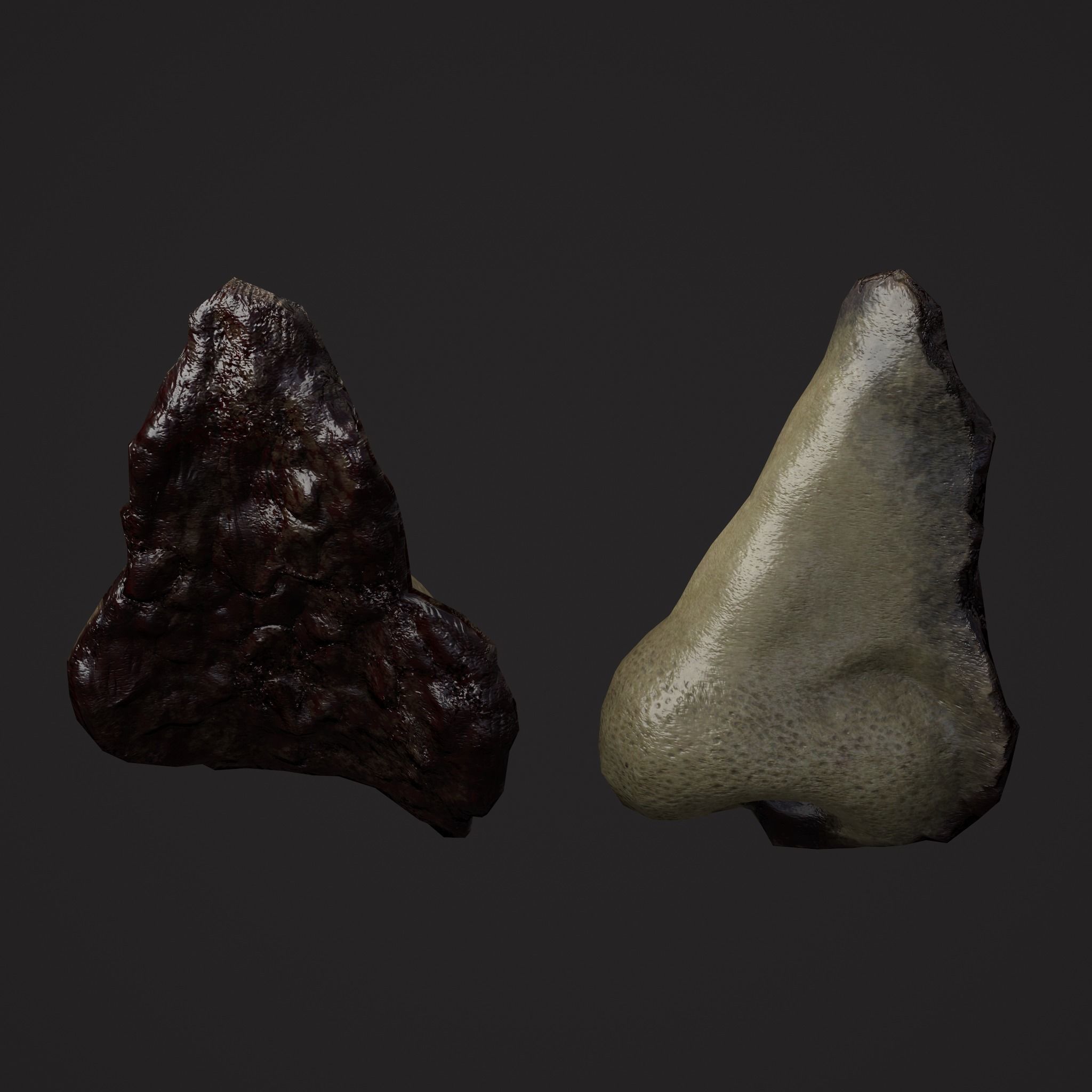 Severed Fingers Toes Ears and Nose 3D Model Collection_66