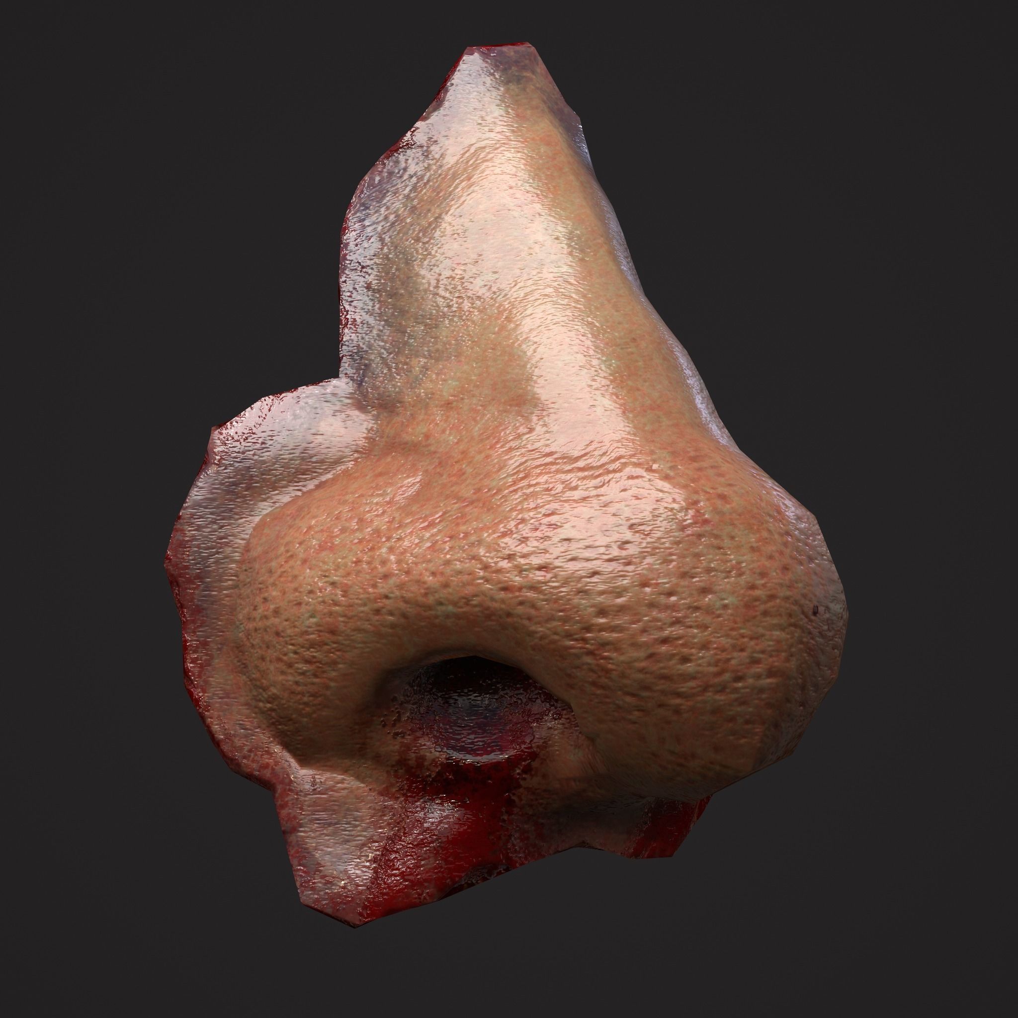 Severed Fingers Toes Ears and Nose 3D Model Collection_76